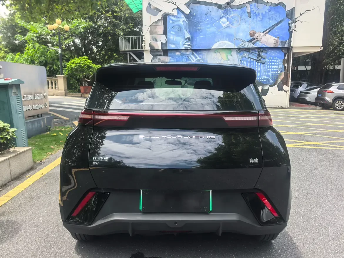 BYD seagull