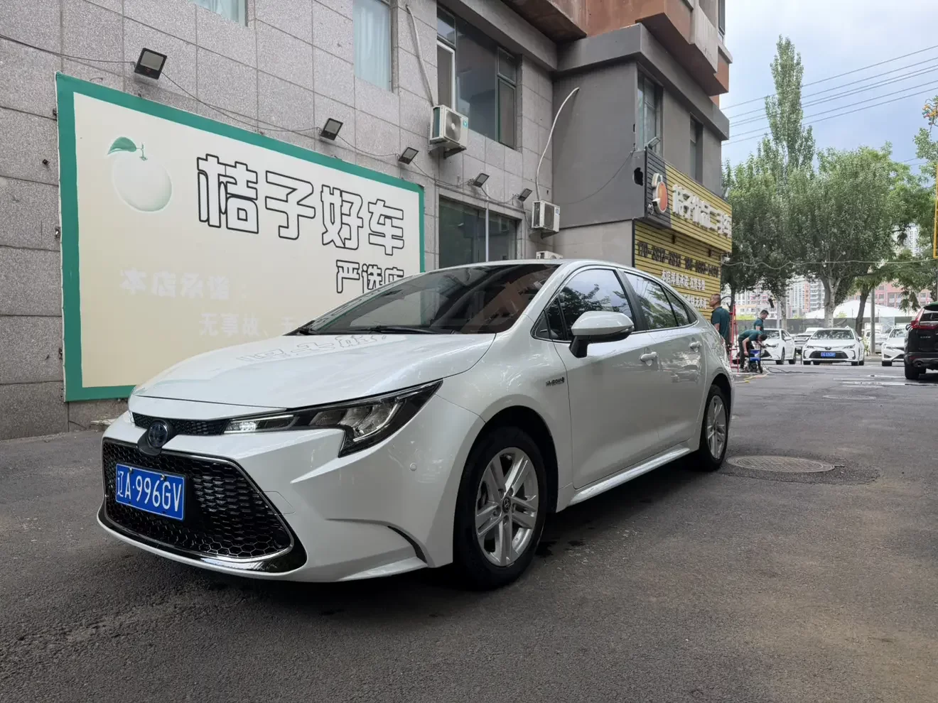 Toyota Levin