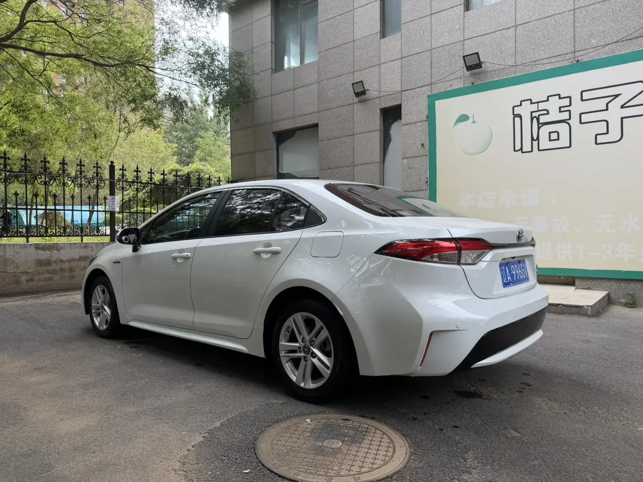 Toyota Levin