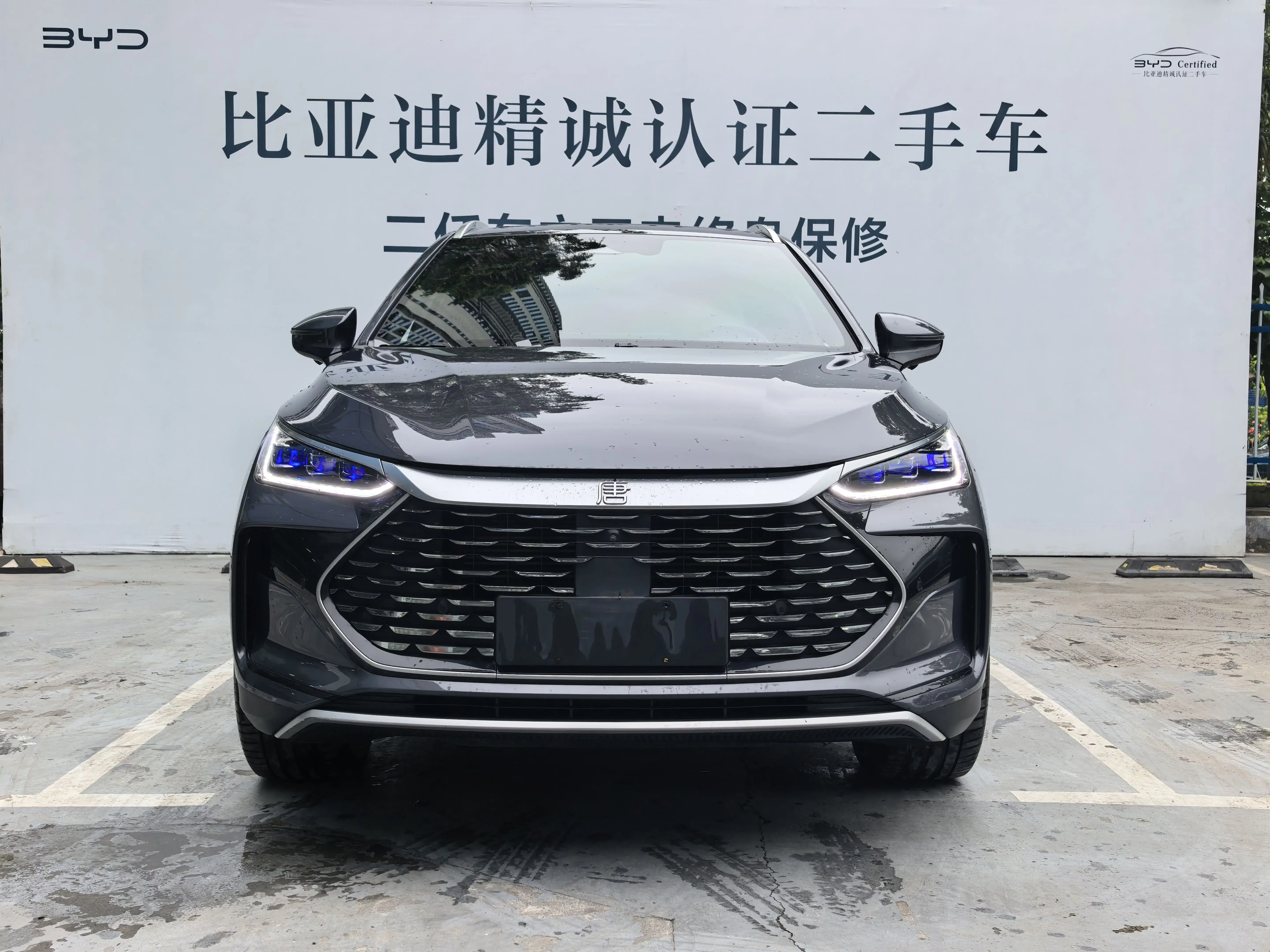 BYD Tang DM