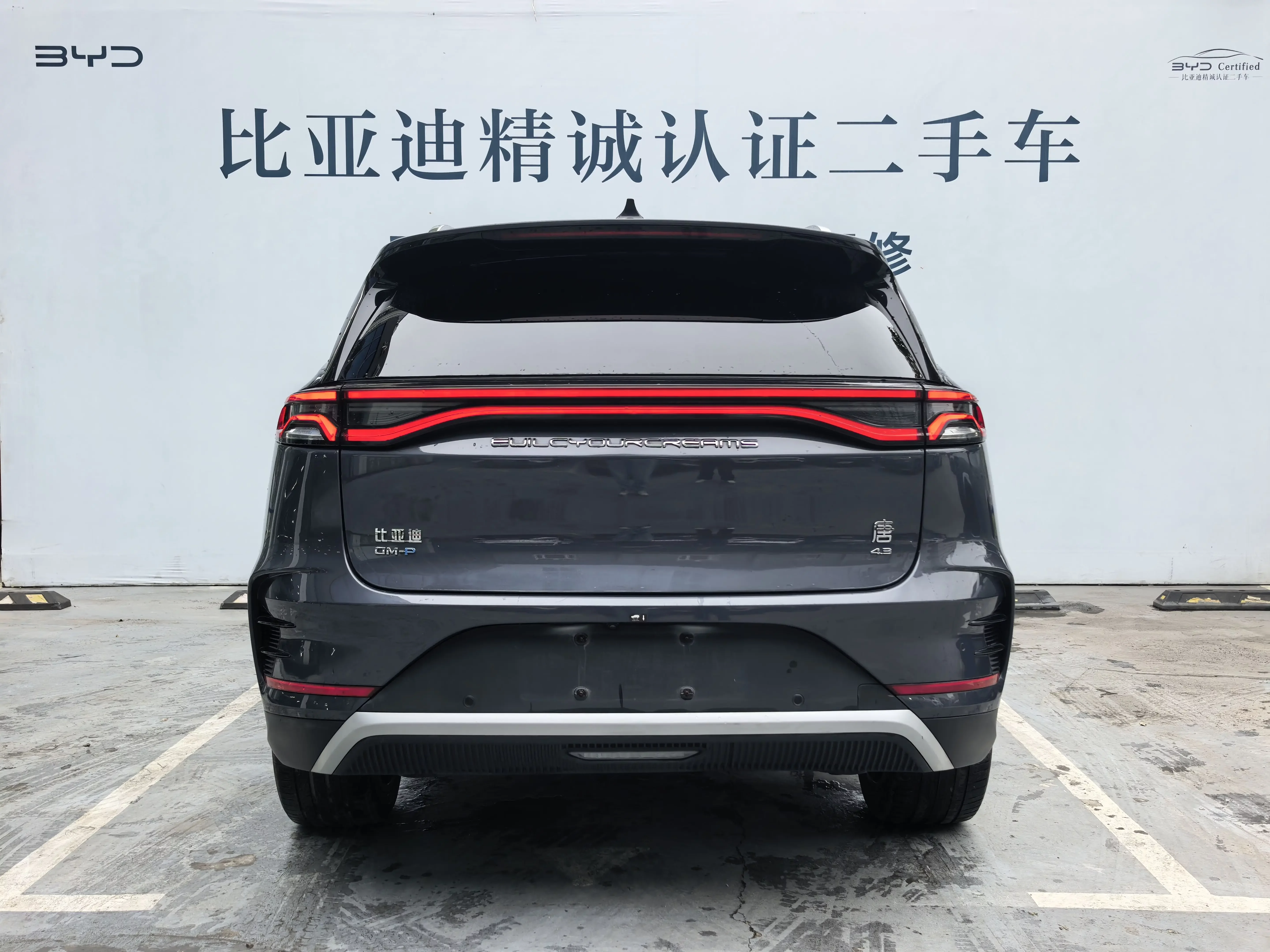 BYD Tang DM