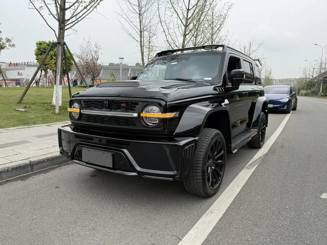 Tank Cyber  300