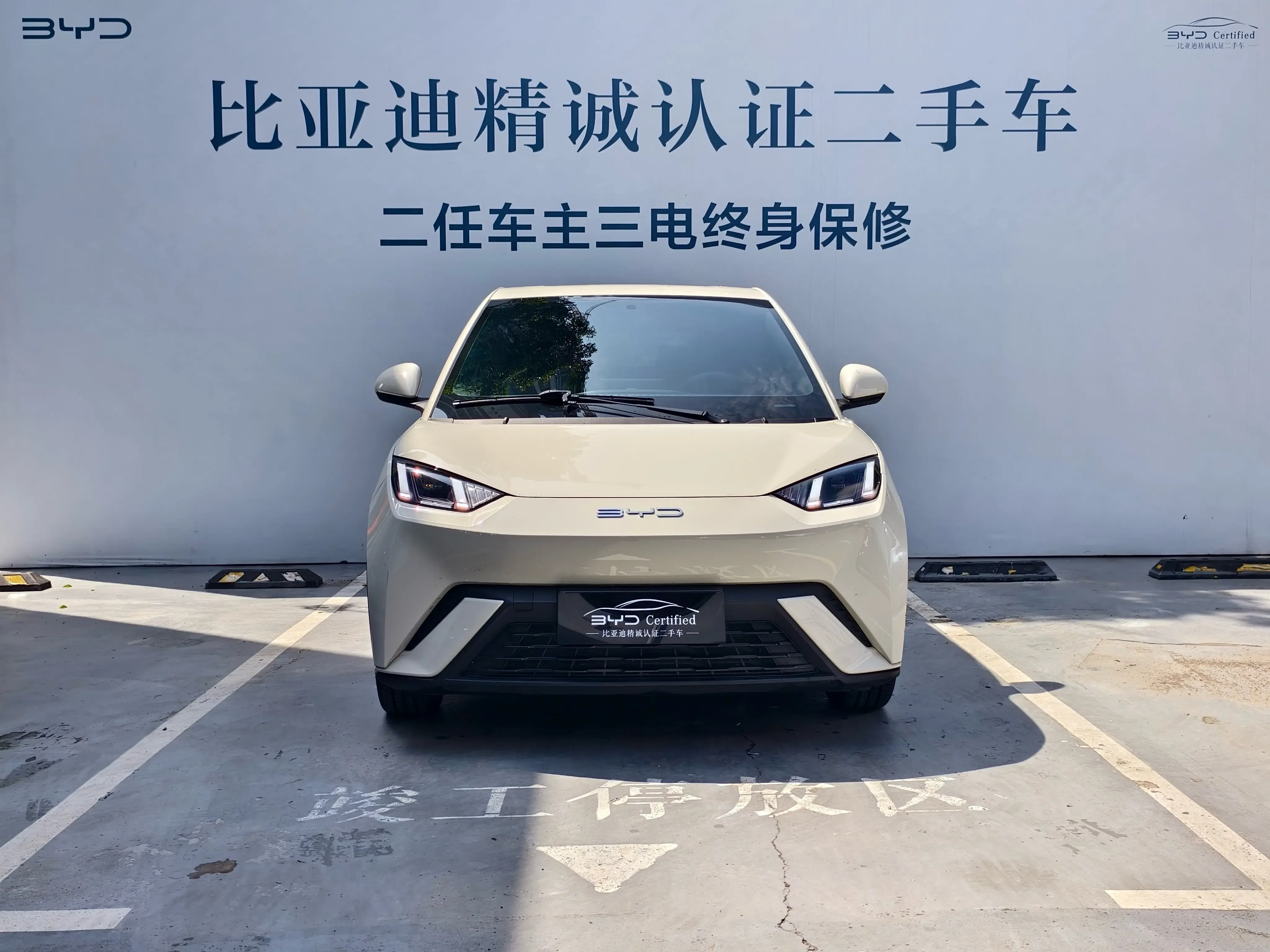 BYD seagull