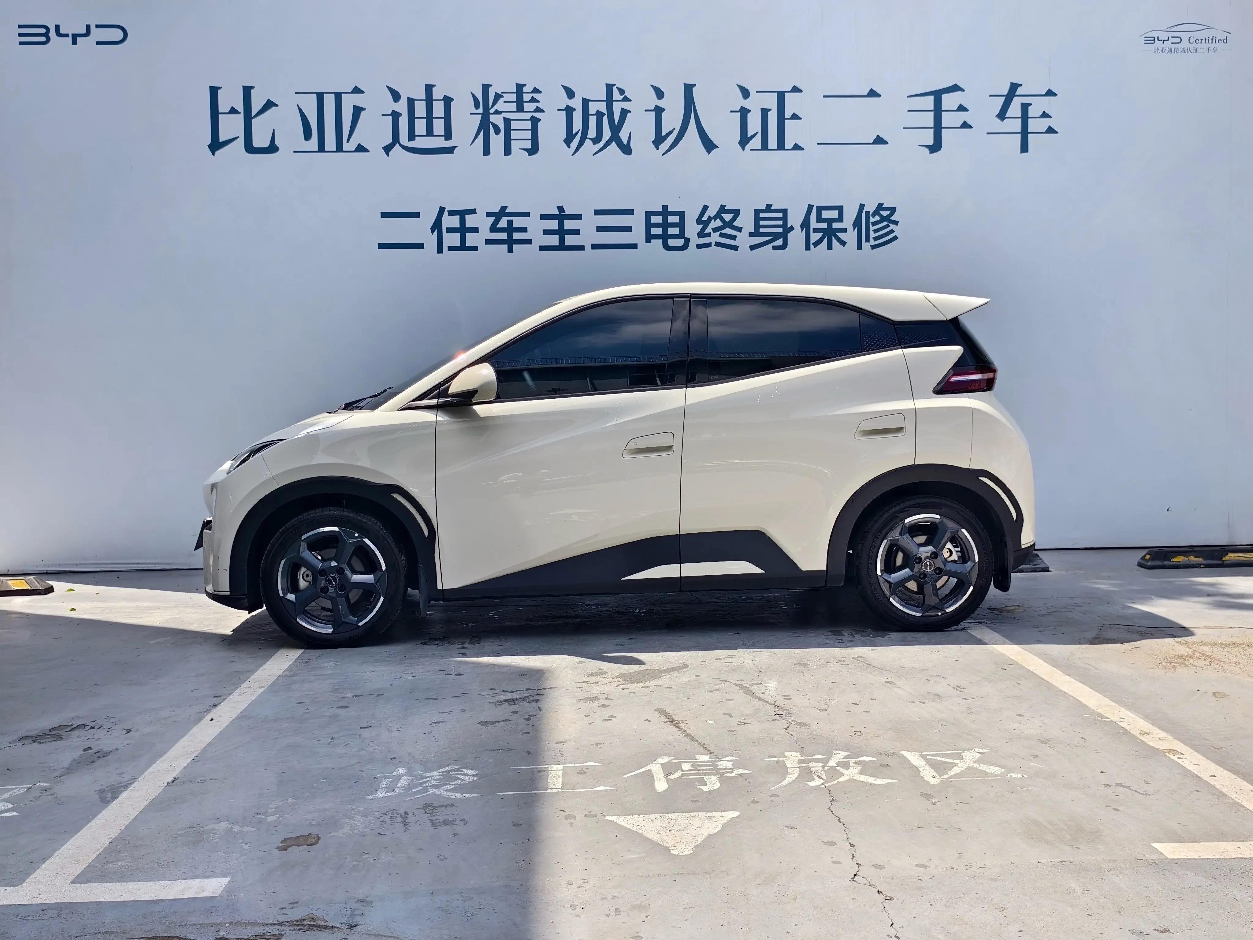 BYD seagull