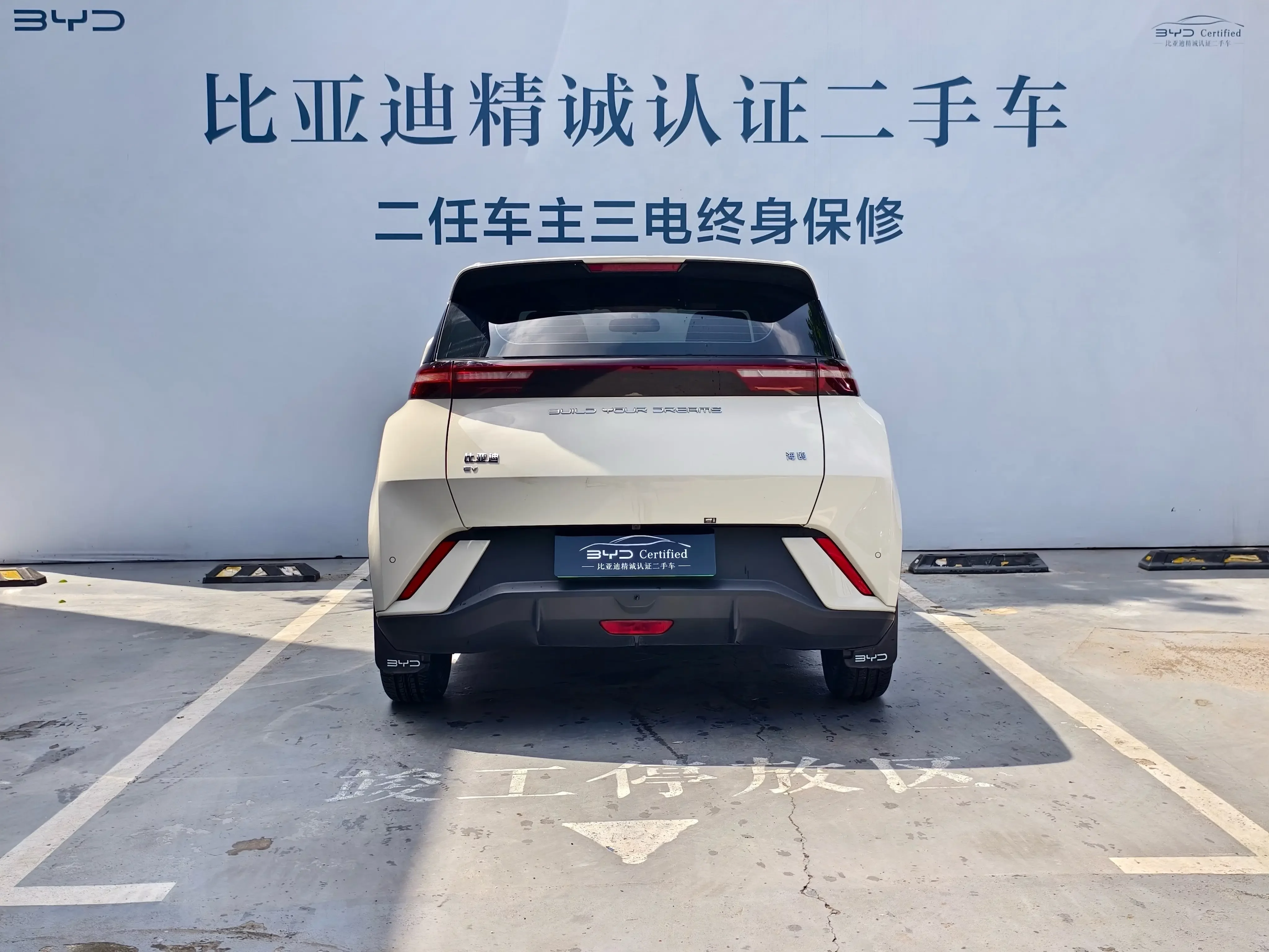 BYD seagull