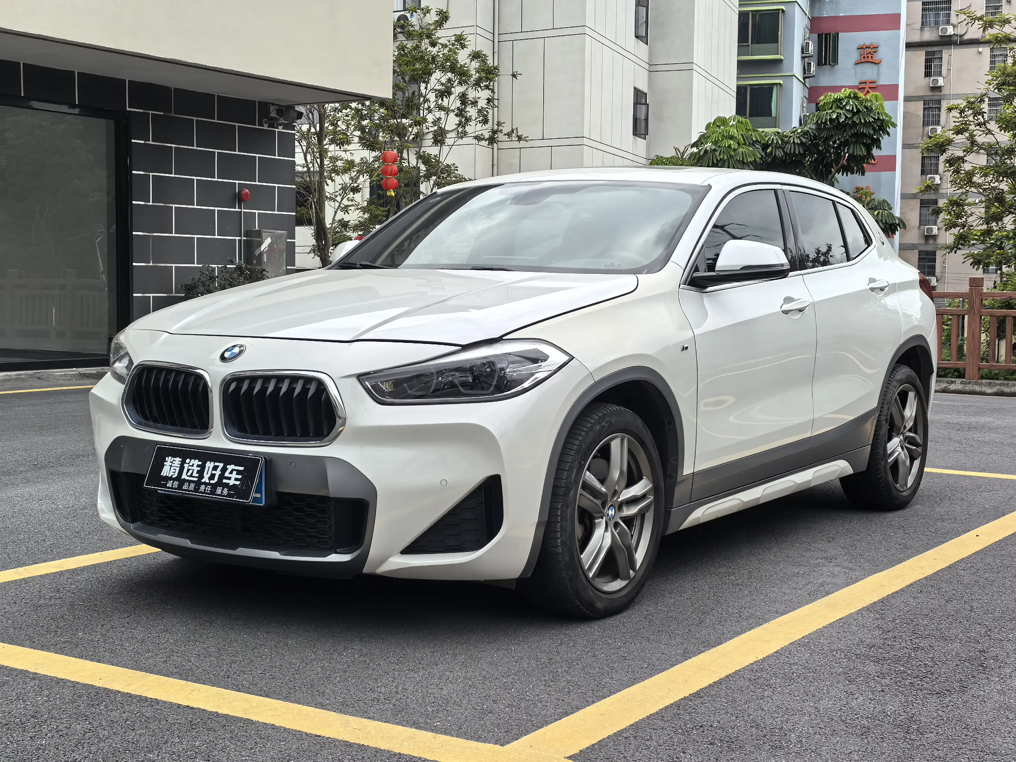 BMW X2