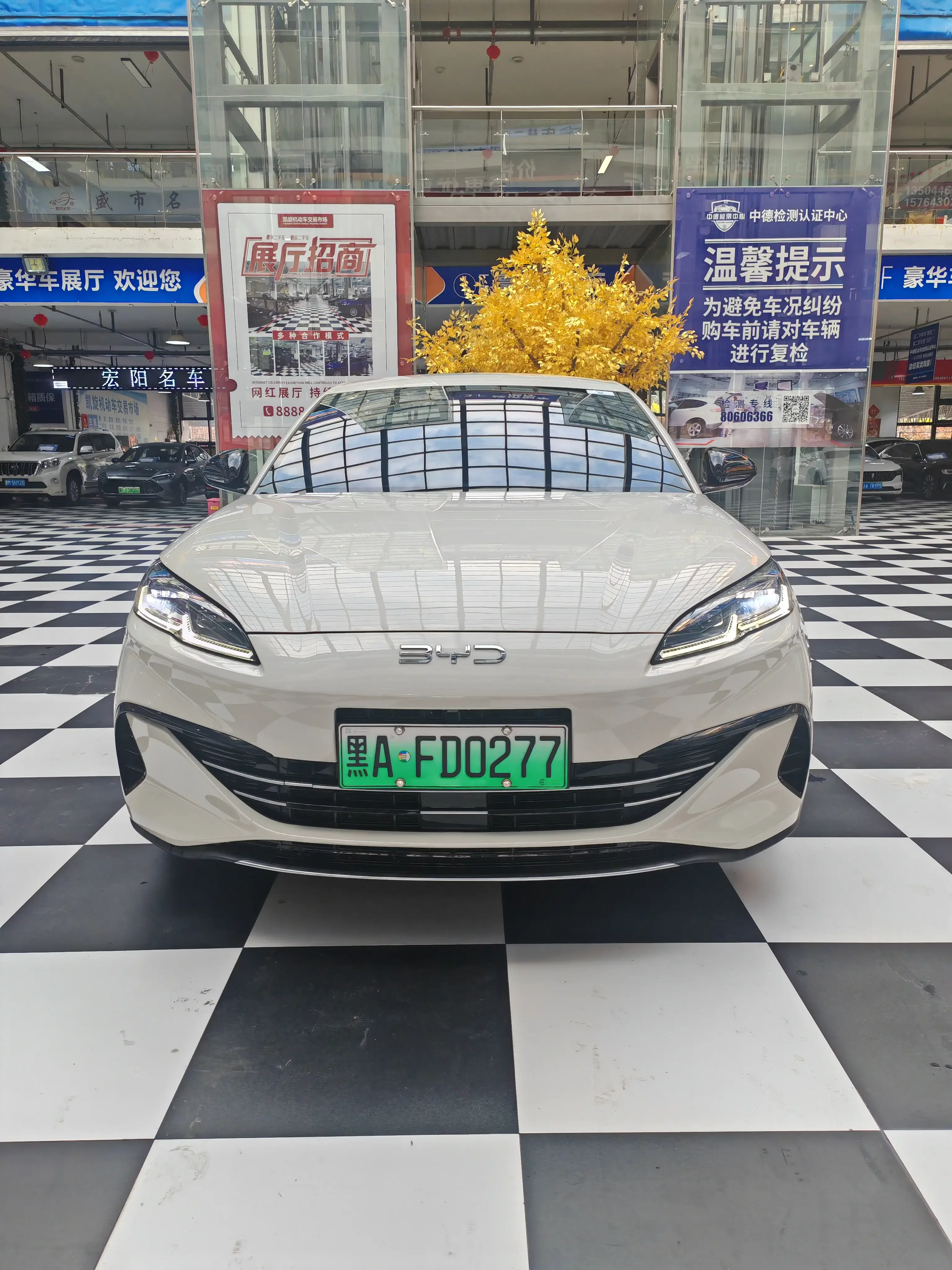 BYD Seal 06DM