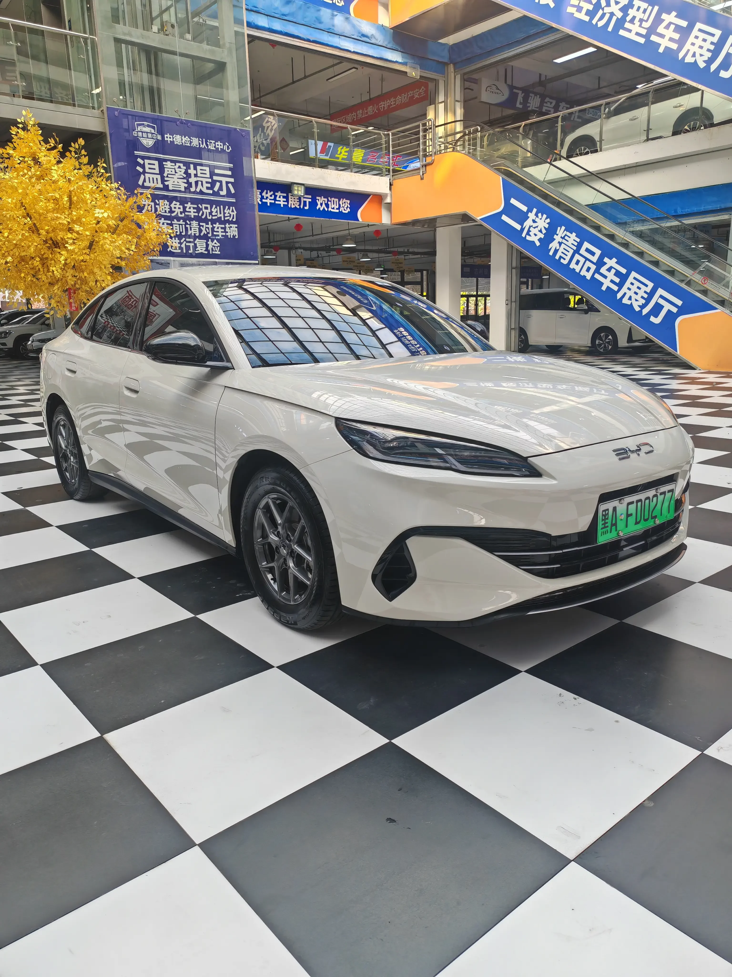 BYD Seal 06DM