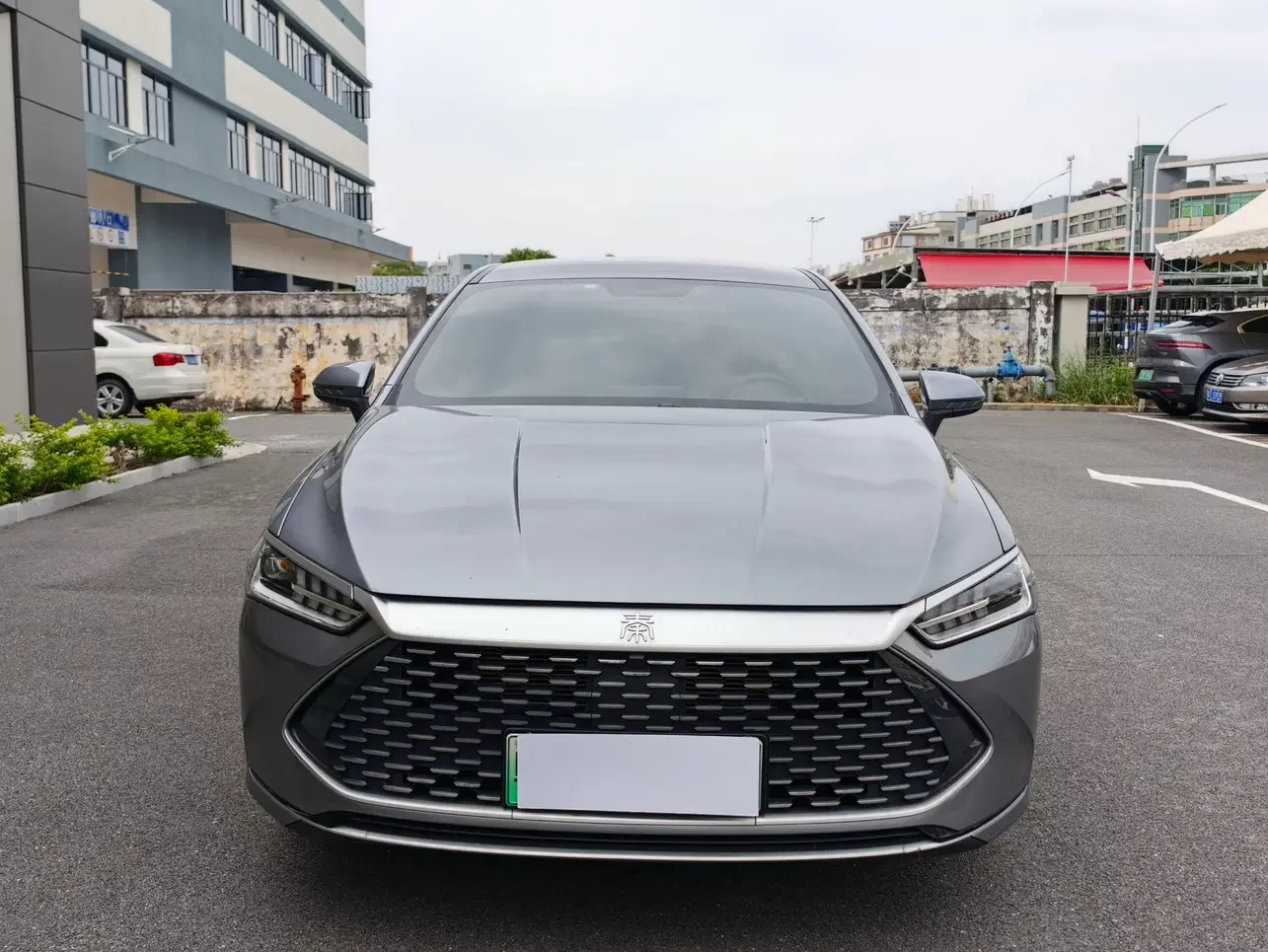 BYD Qin PLUS DM