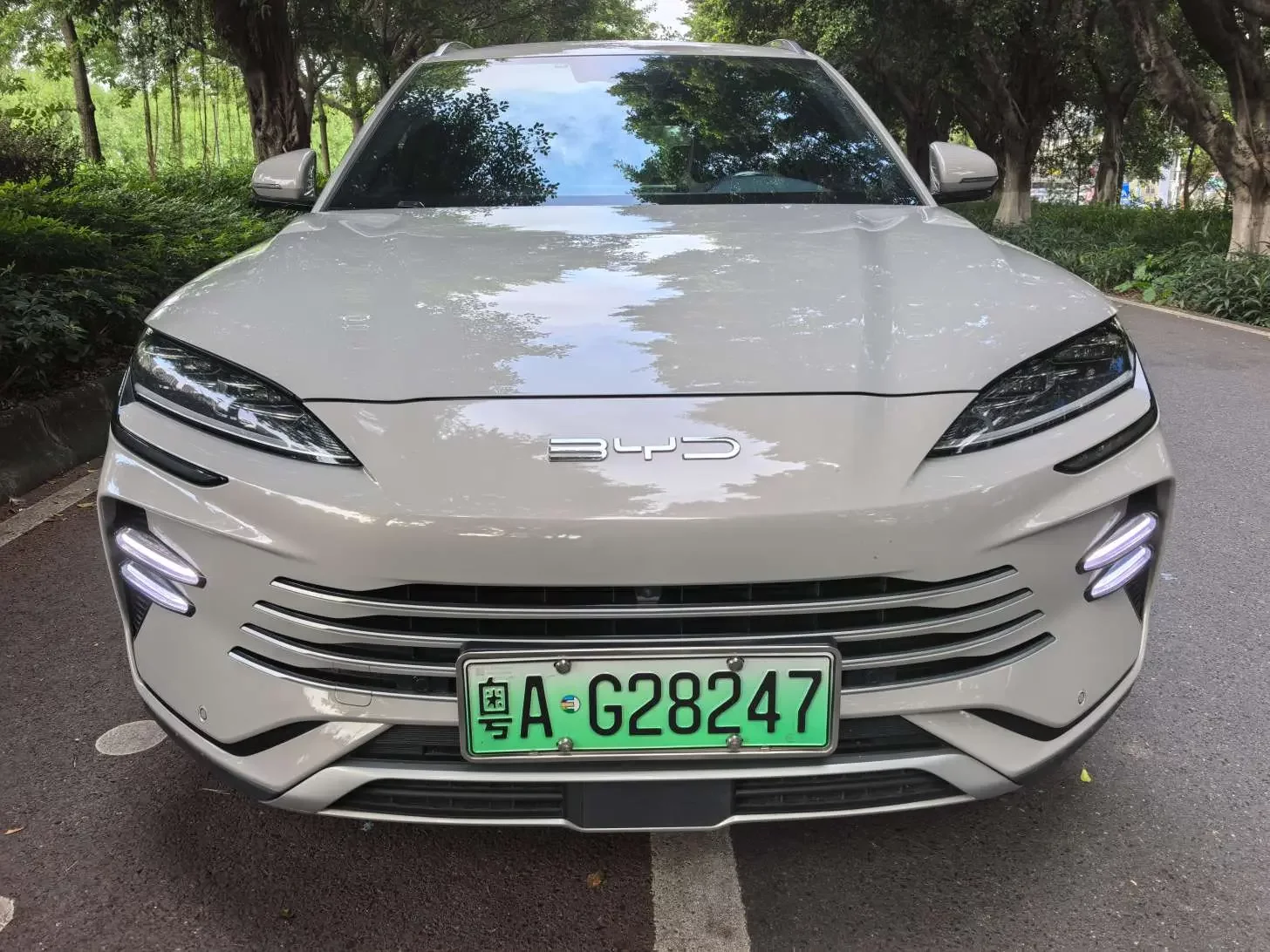 BYD Song PLUS DM