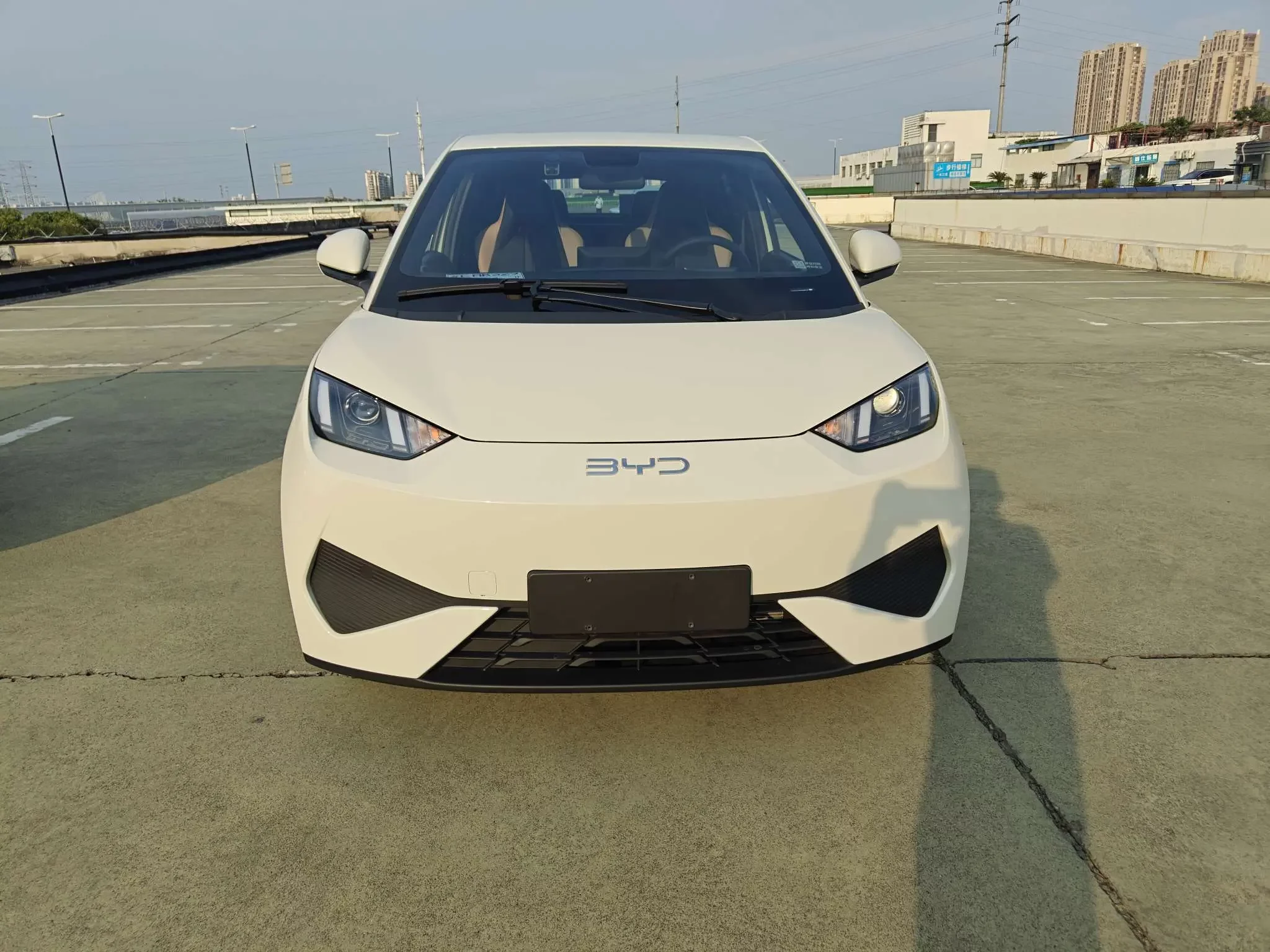 BYD seagull