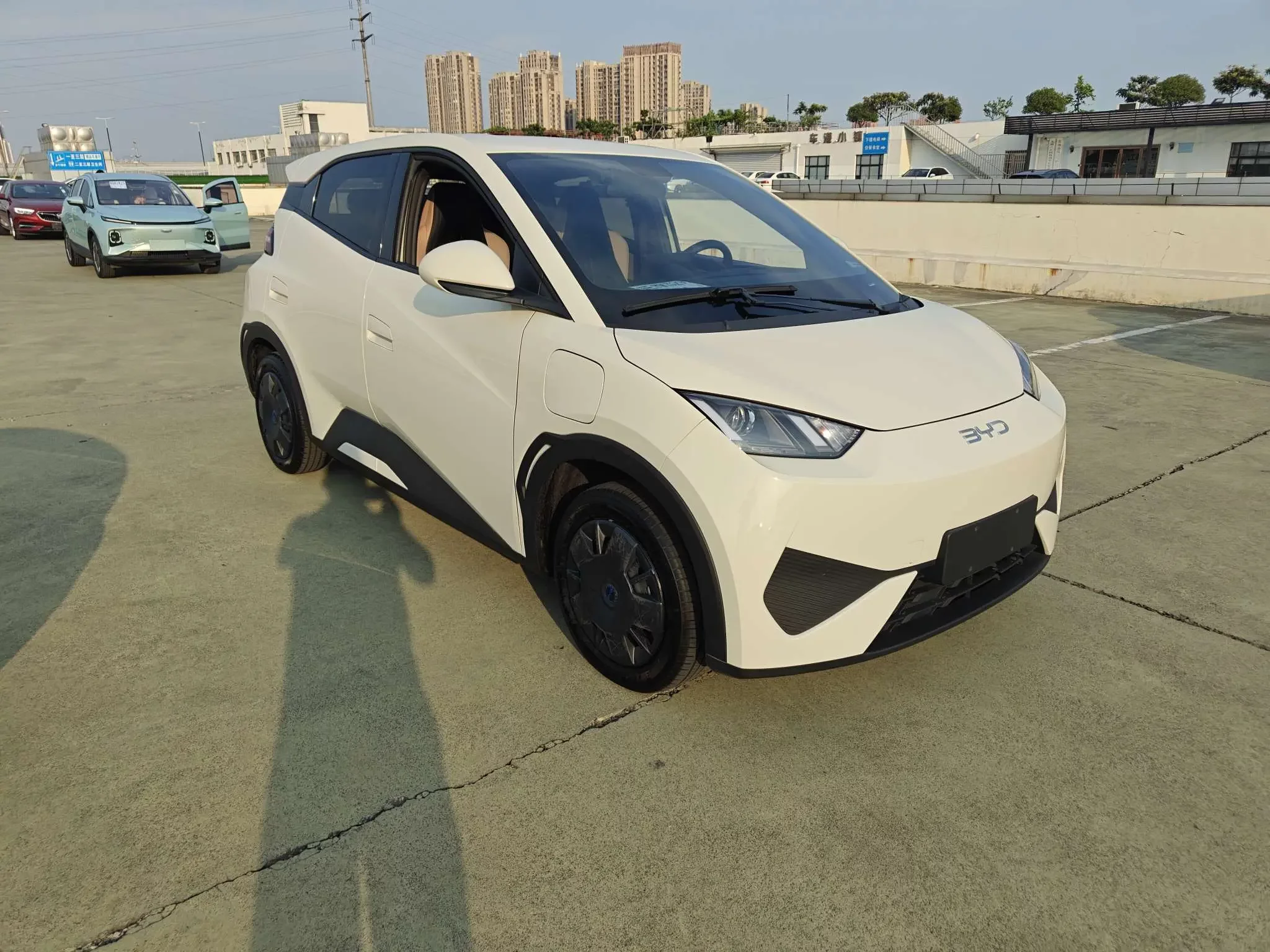 BYD seagull