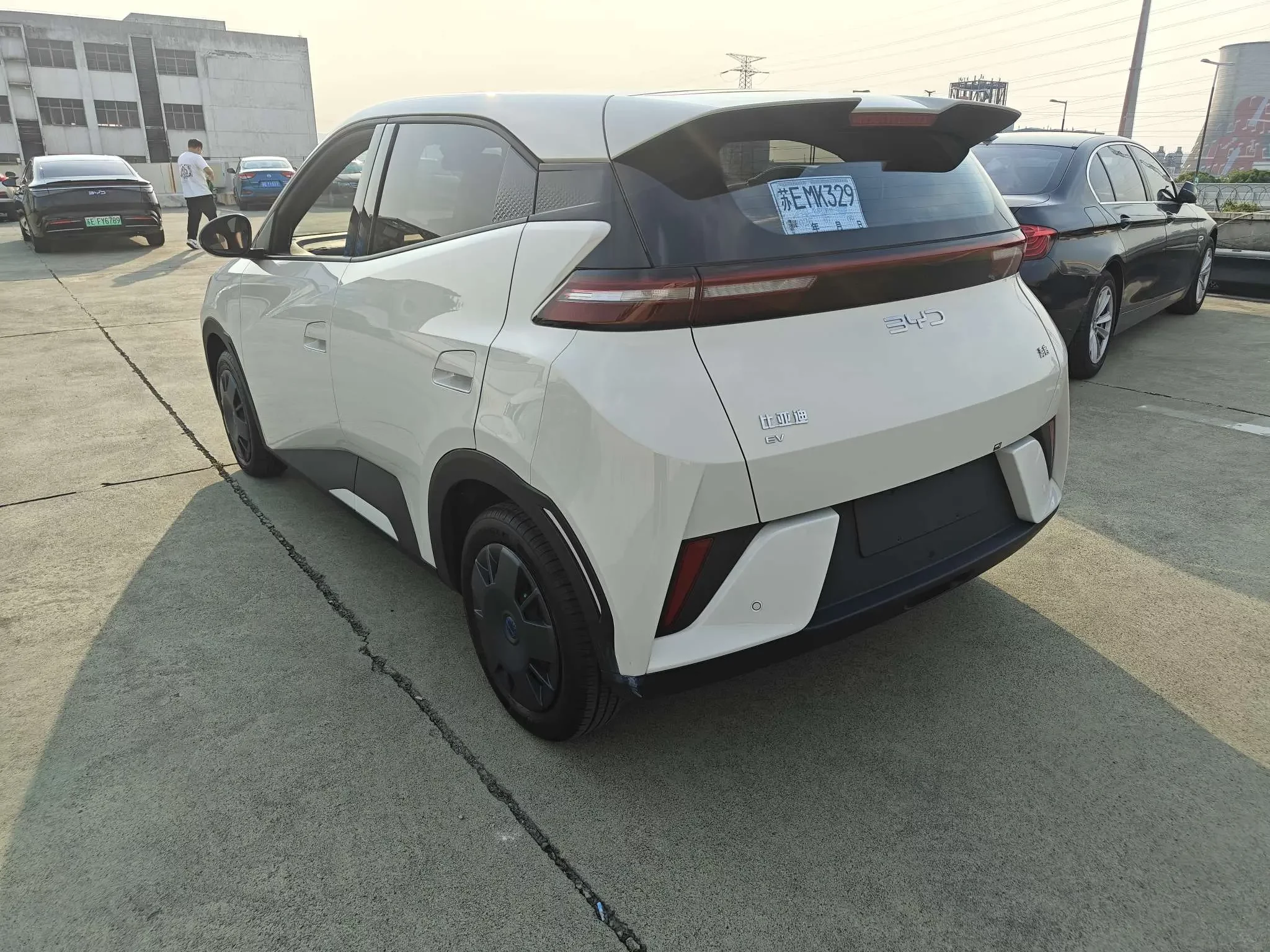 BYD seagull