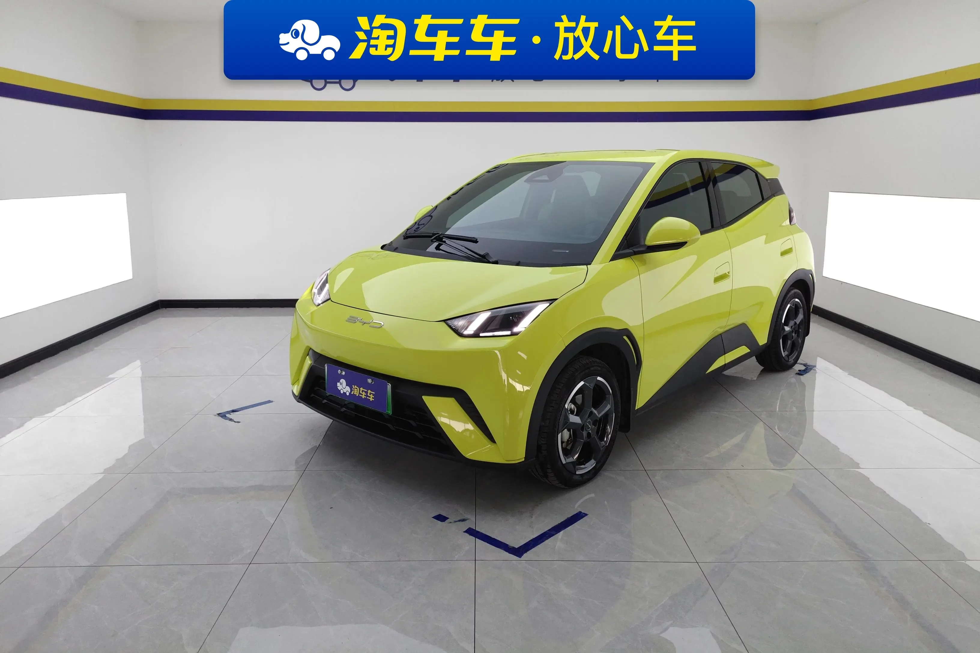 BYD seagull