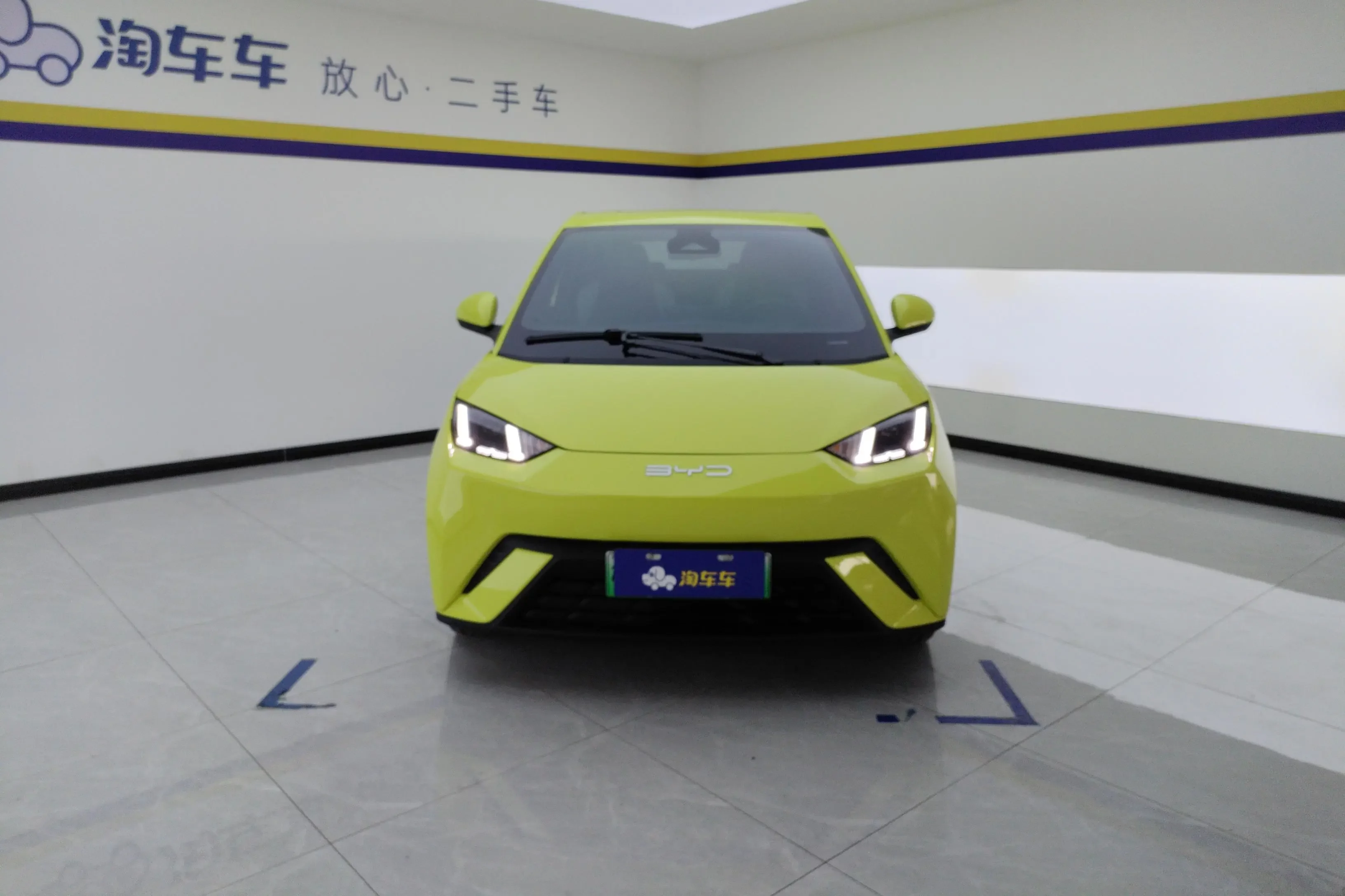 BYD seagull