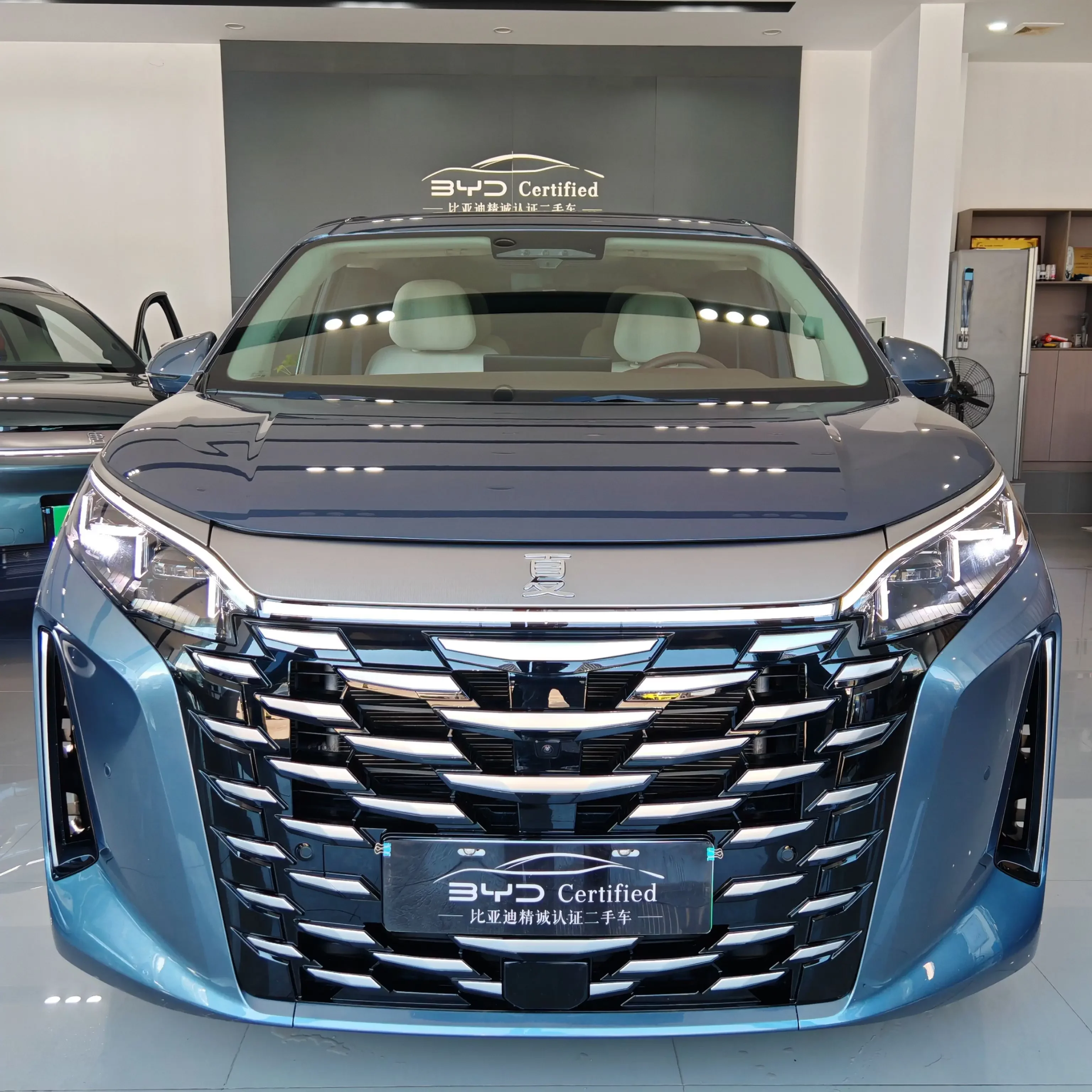 BYD summer