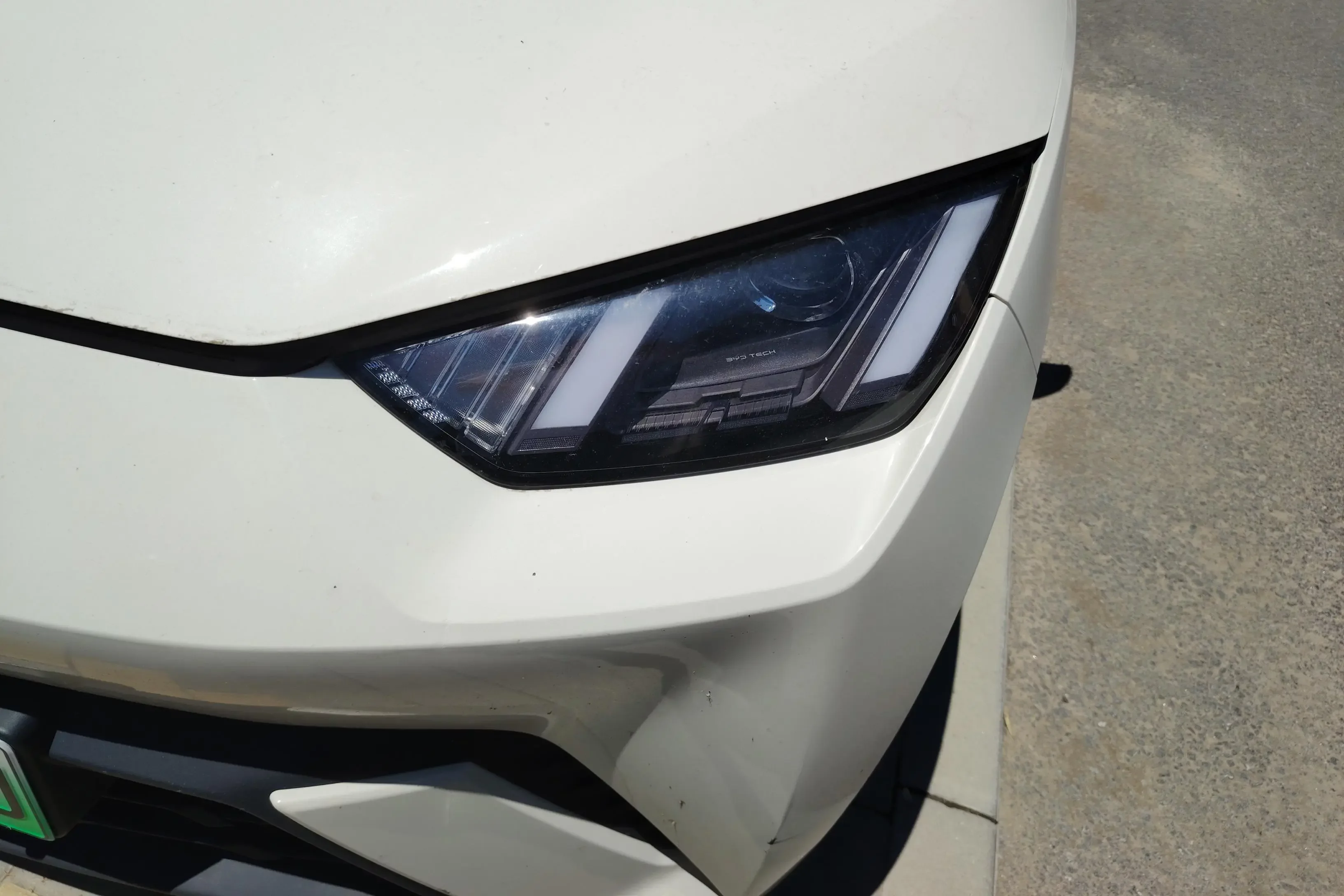 BYD seagull