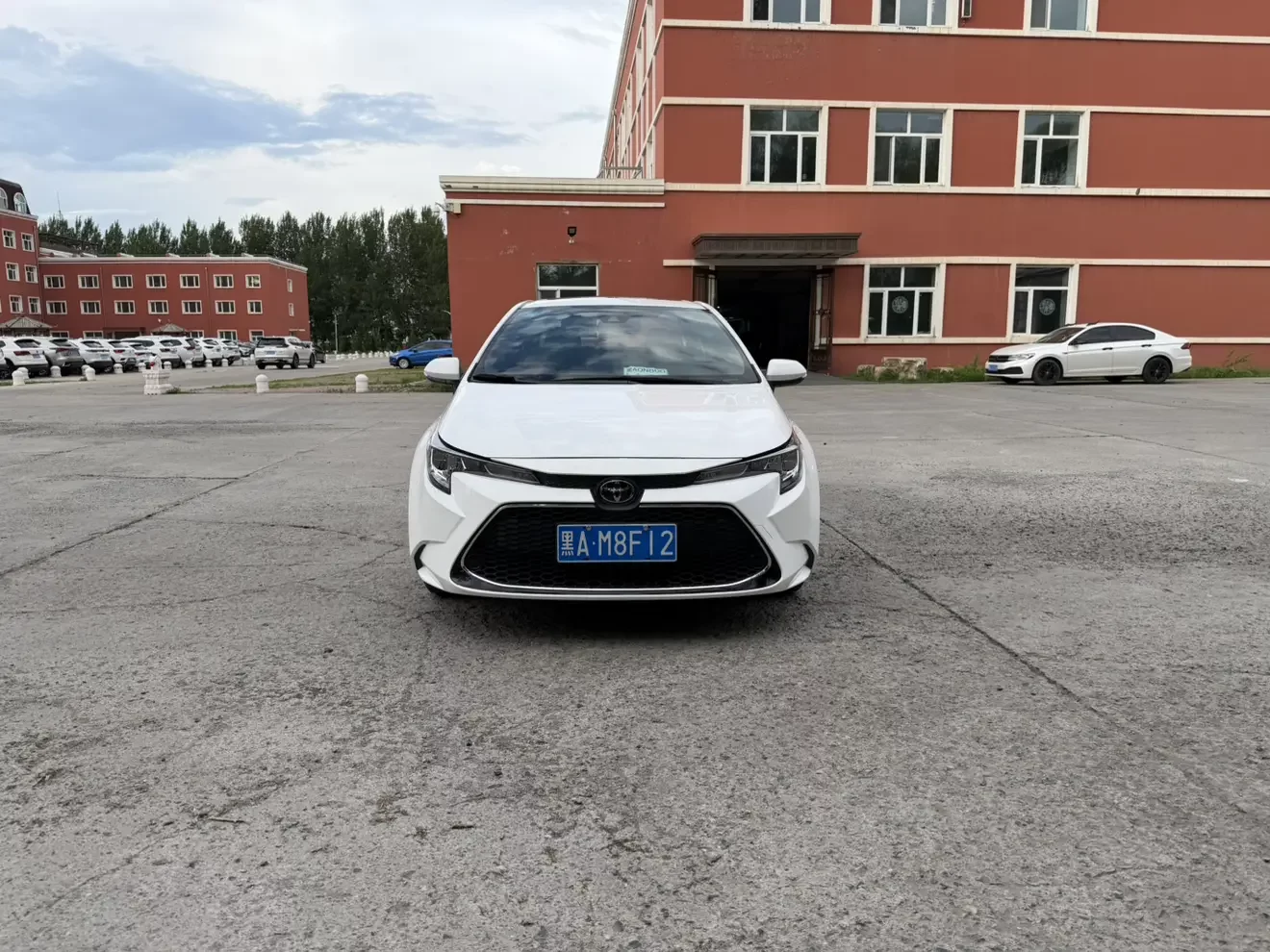 Toyota Levin