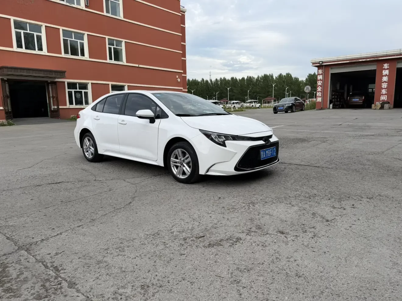 Toyota Levin