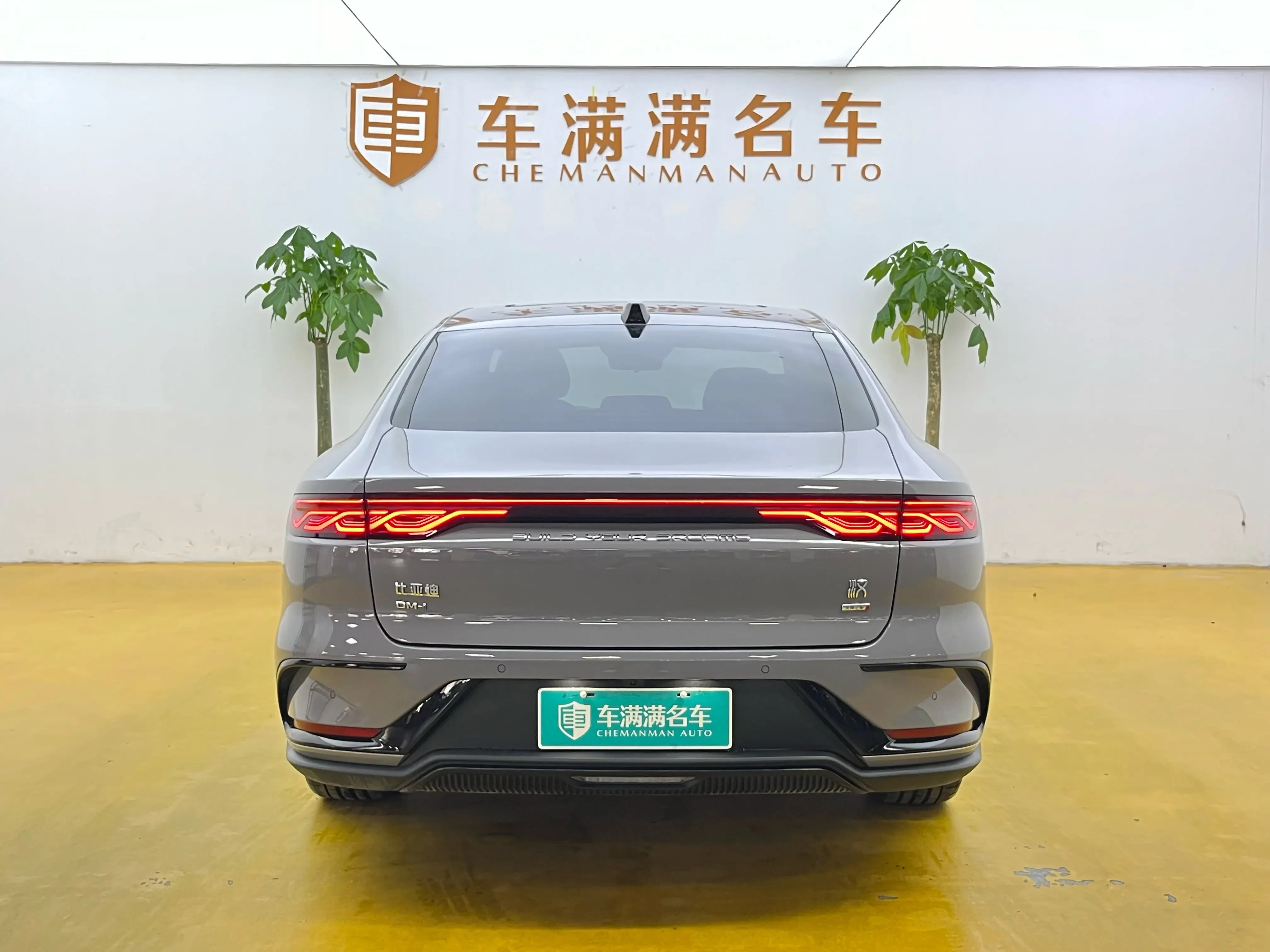 BYD HAN DM