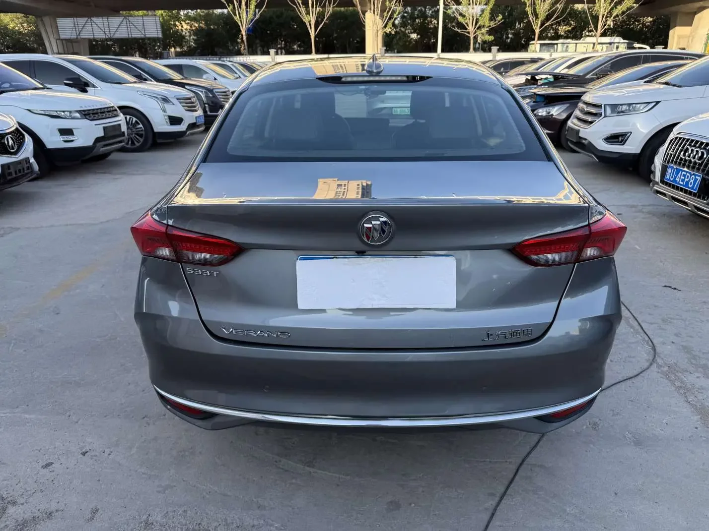 Buick Valeant