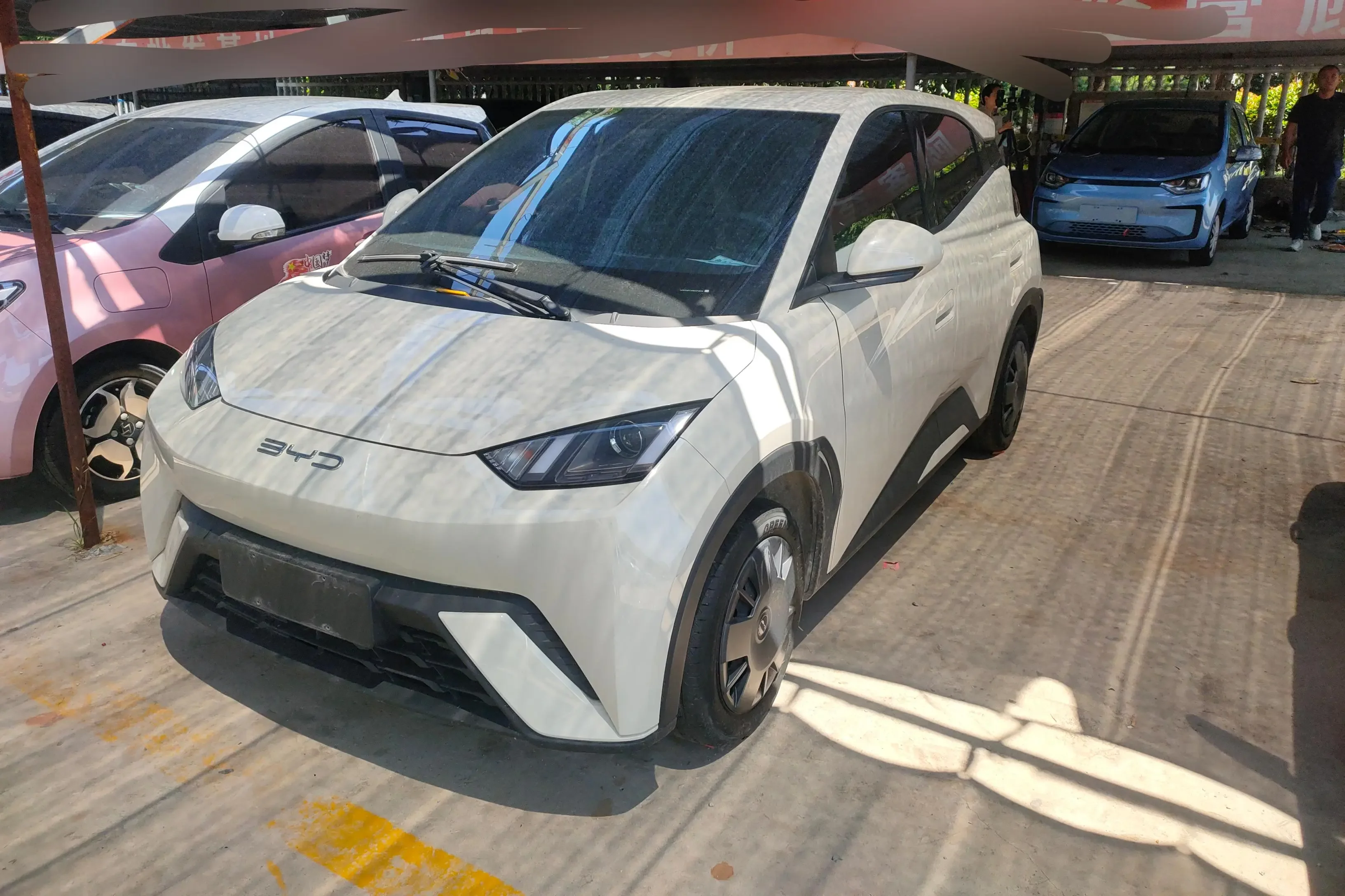 BYD seagull
