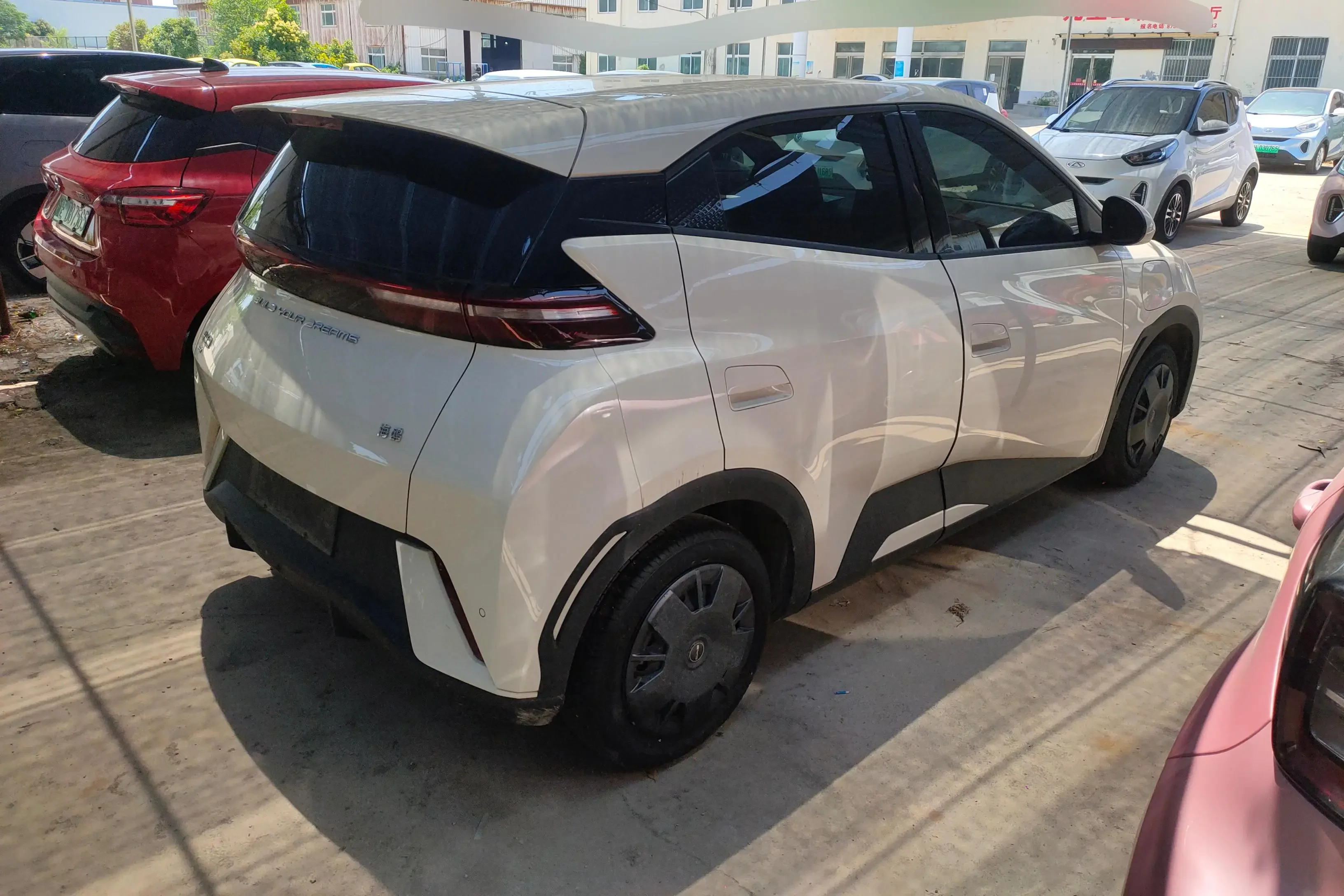 BYD seagull