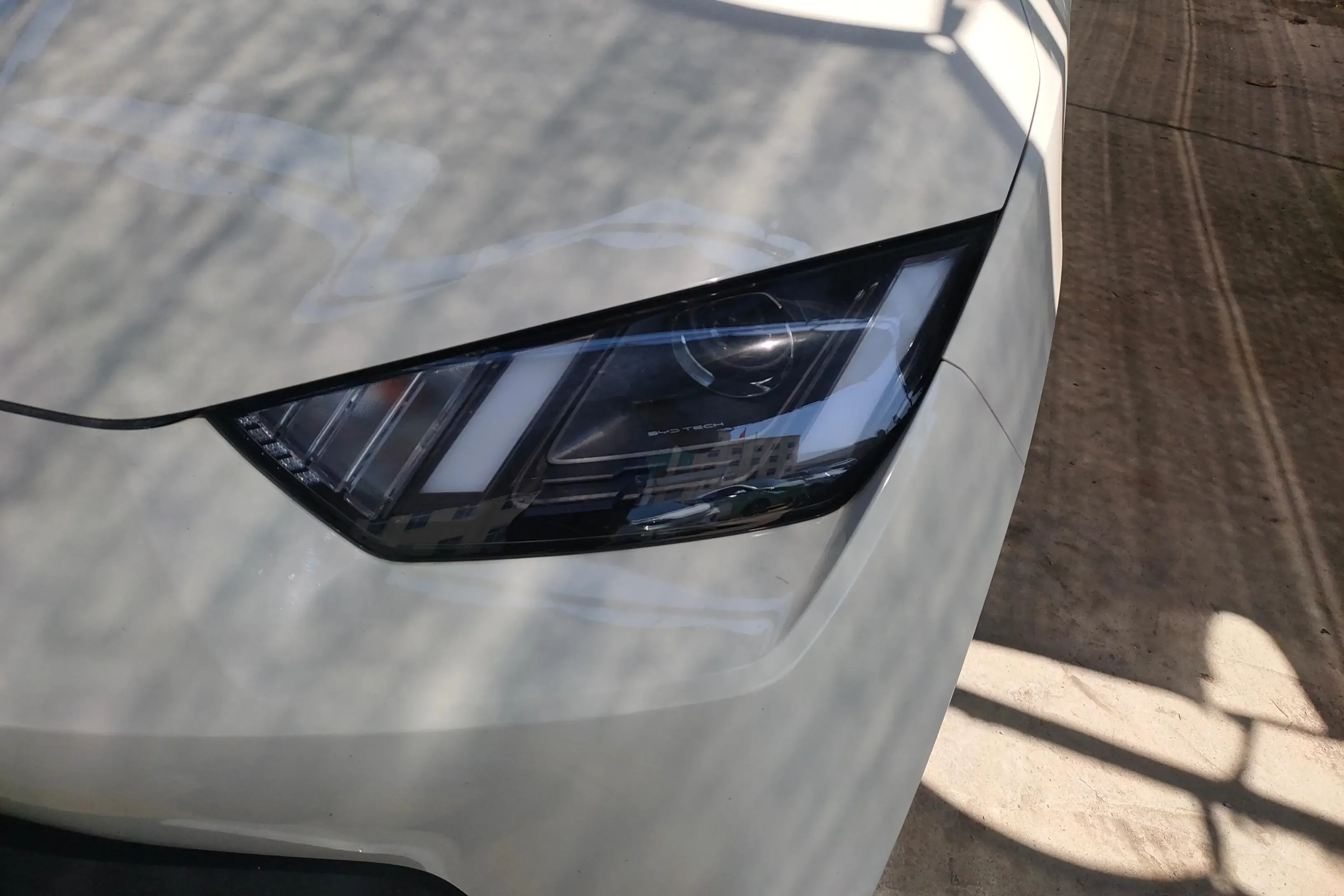BYD seagull