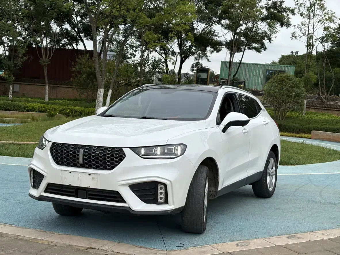 Wey Wei brand VV5