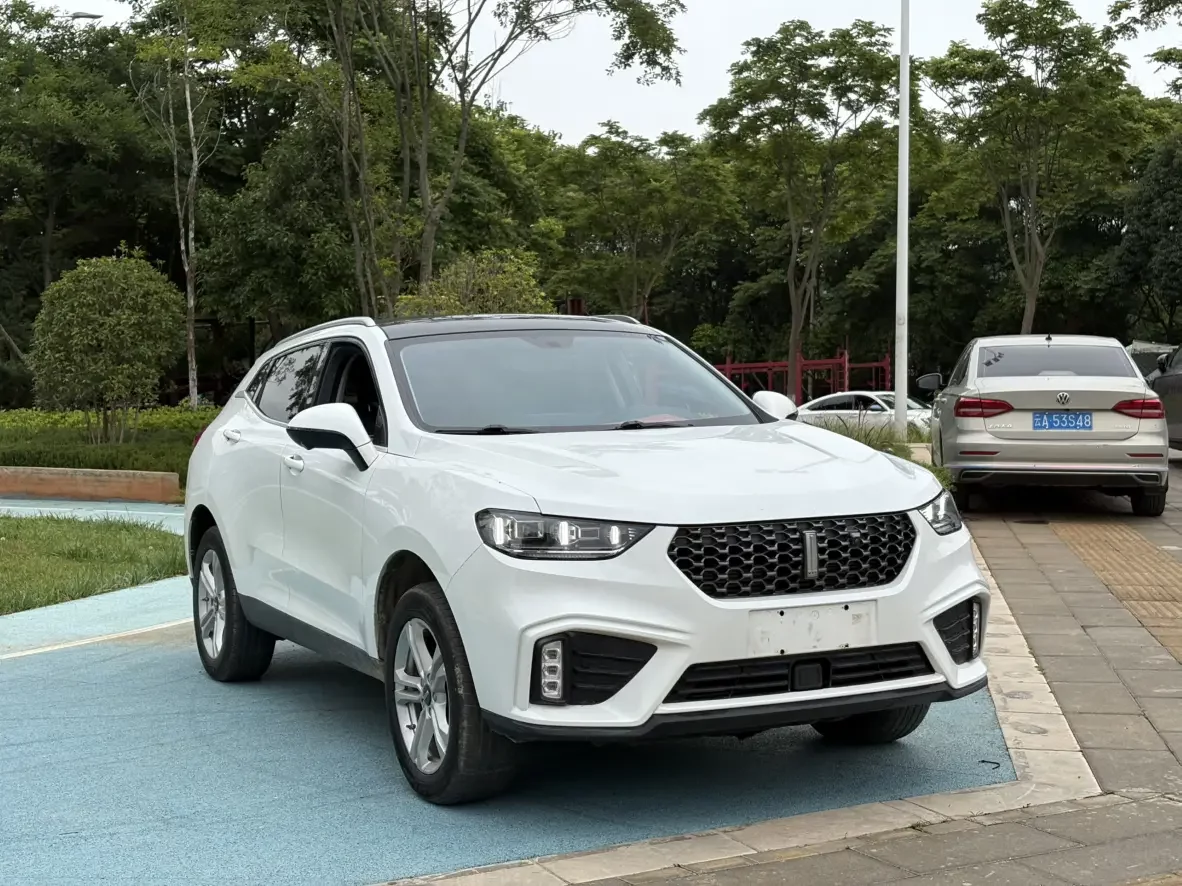 Wey Wei brand VV5