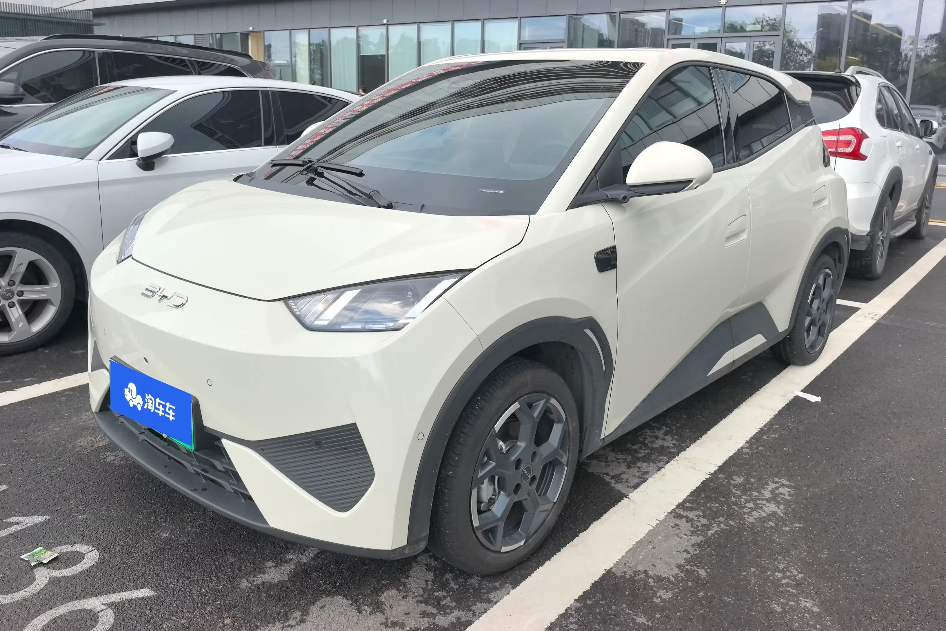 BYD seagull