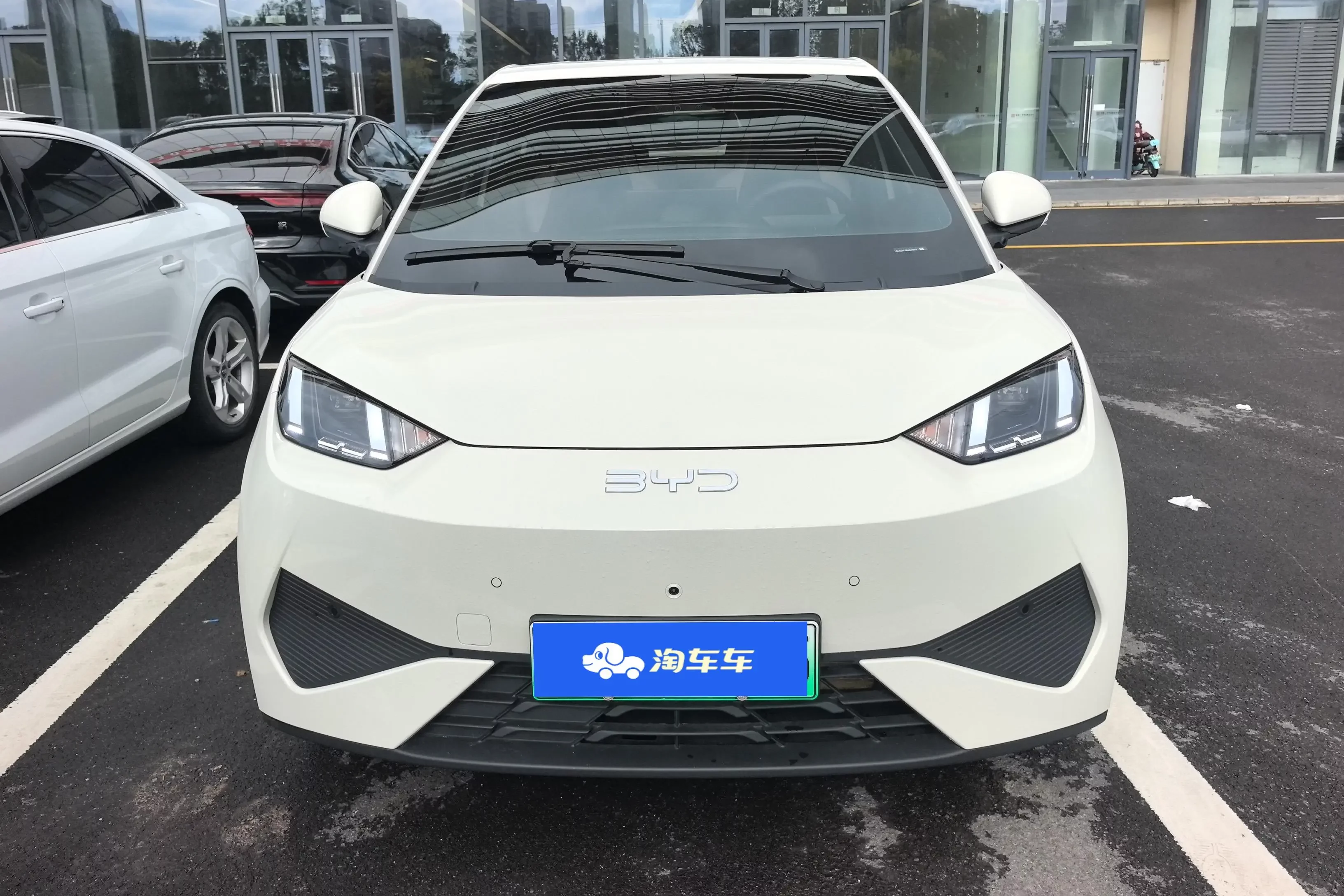 BYD seagull