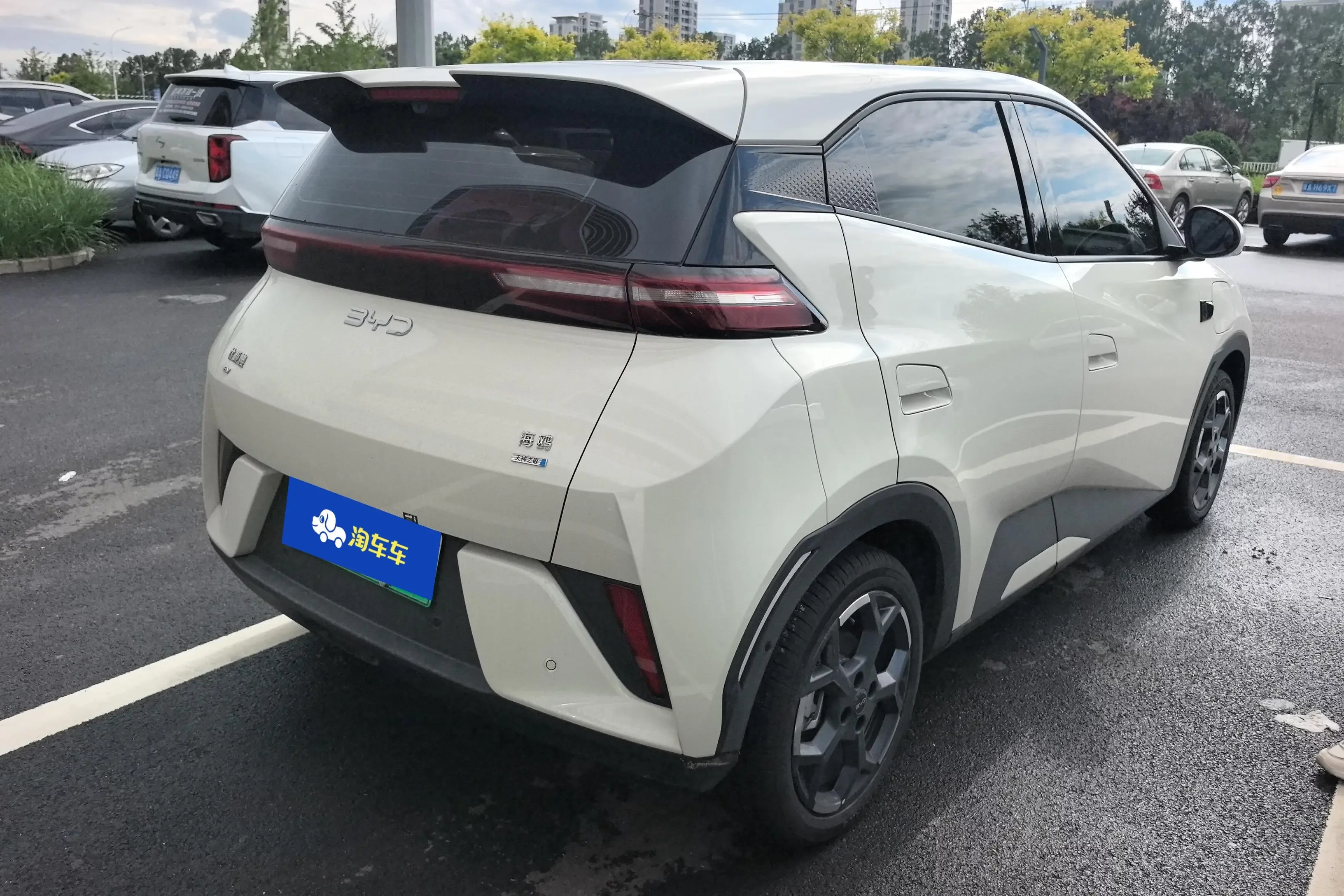 BYD seagull