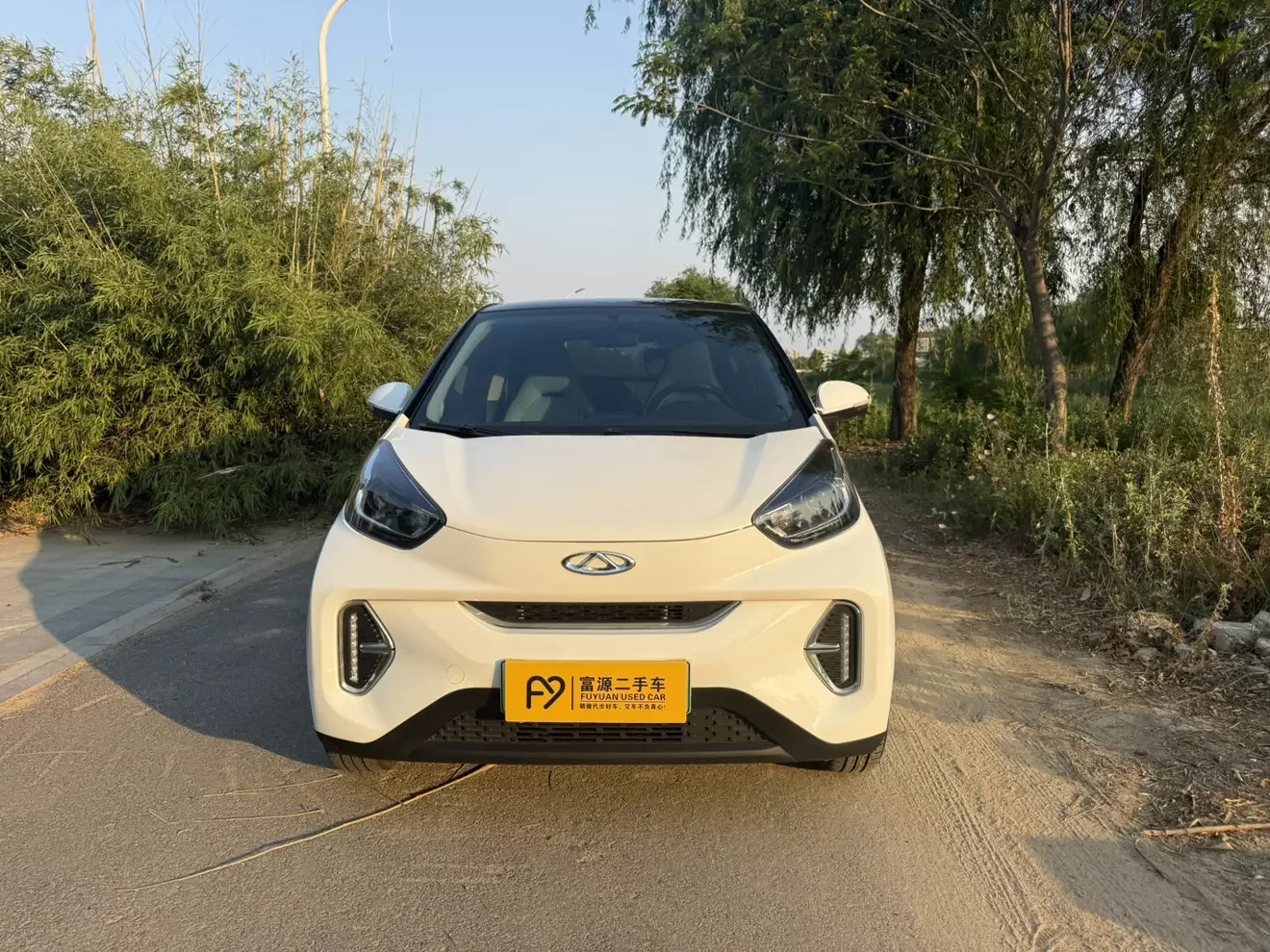 Chery QQ little ant