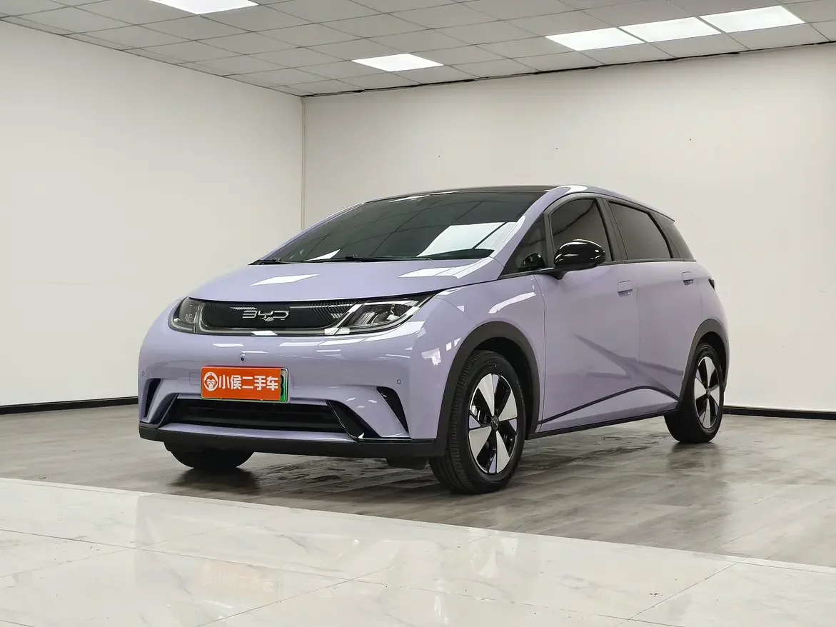 BYD dolphin
