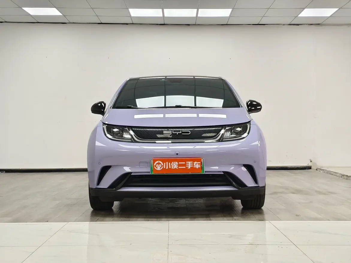 BYD dolphin