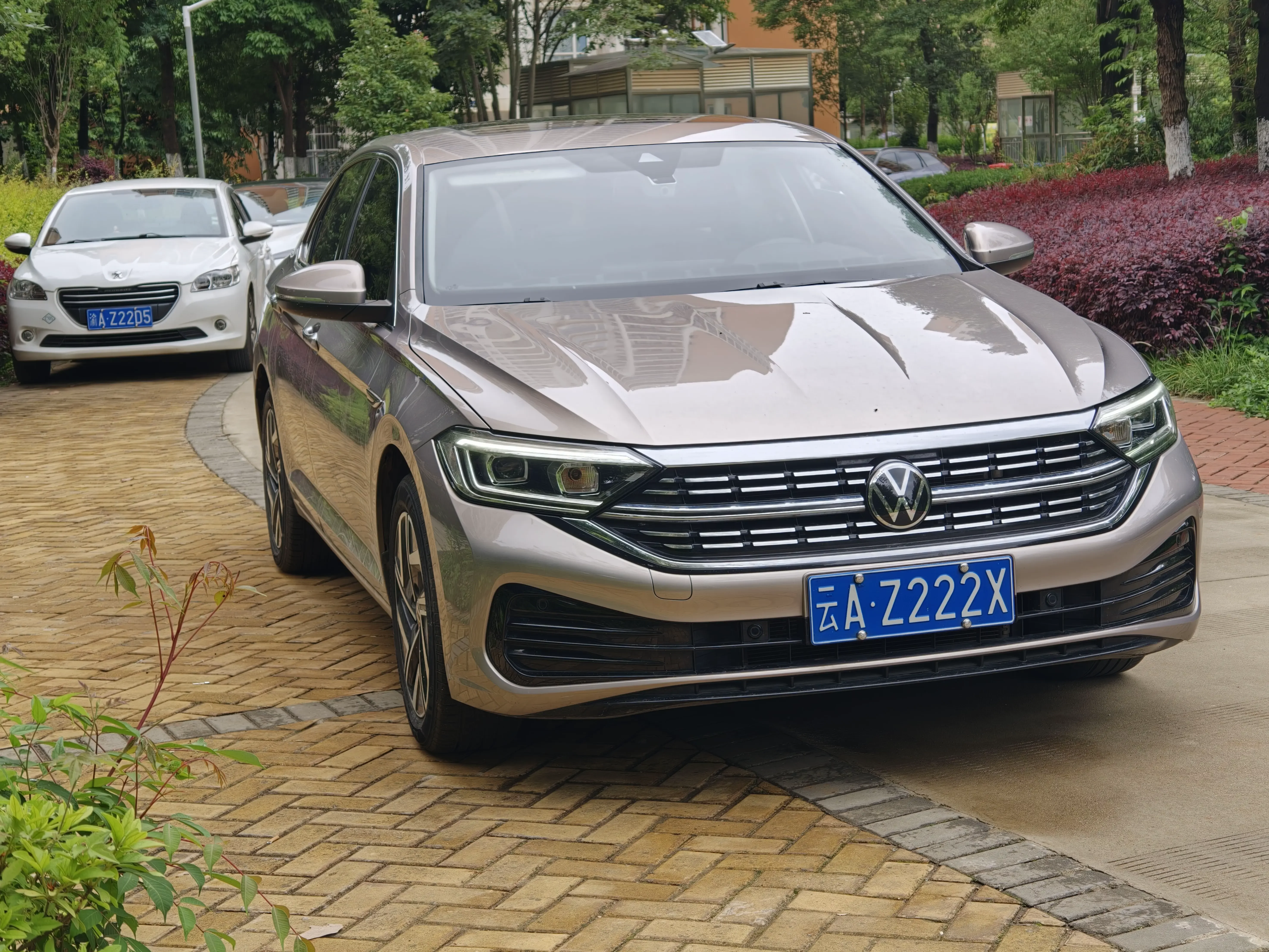 Volkswagen Sagitar