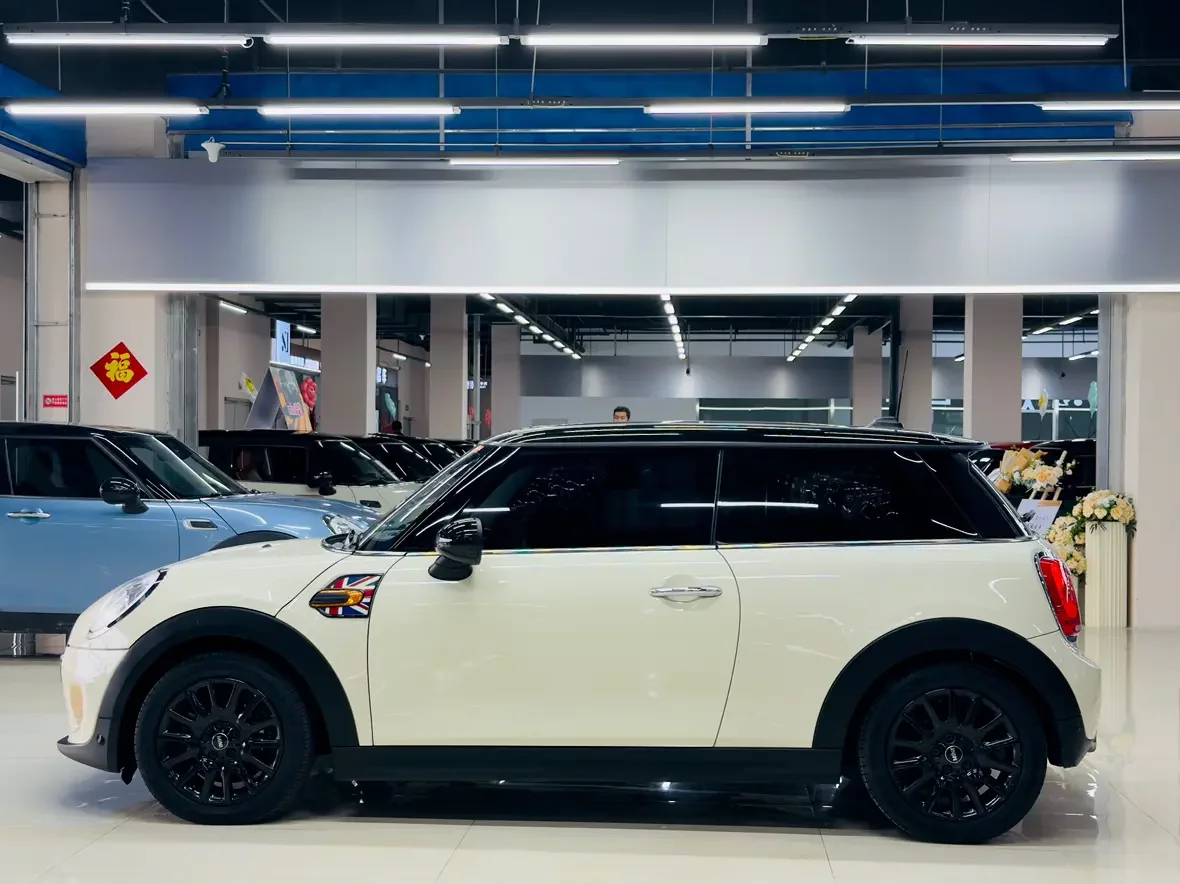 MINI 