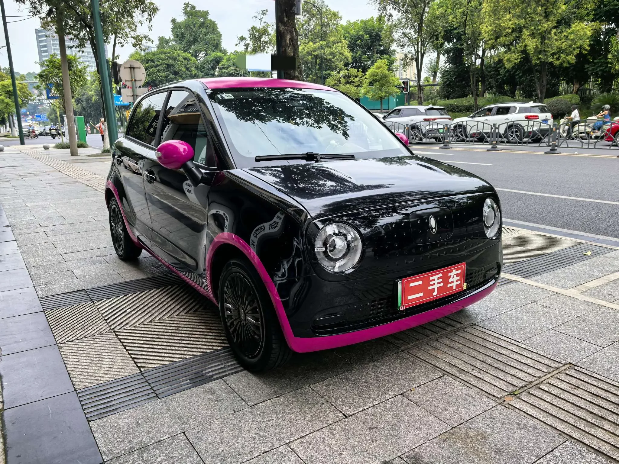 ORA Euler black cat