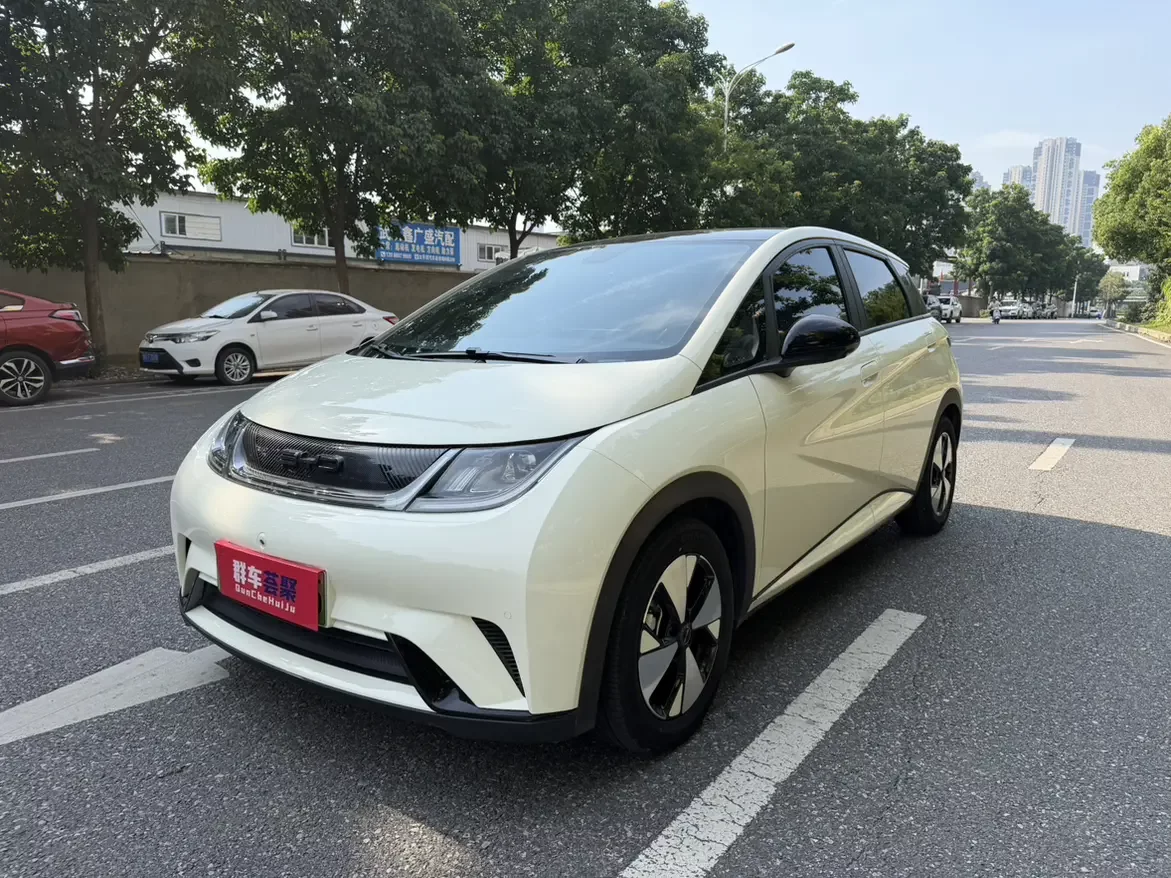 BYD dolphin