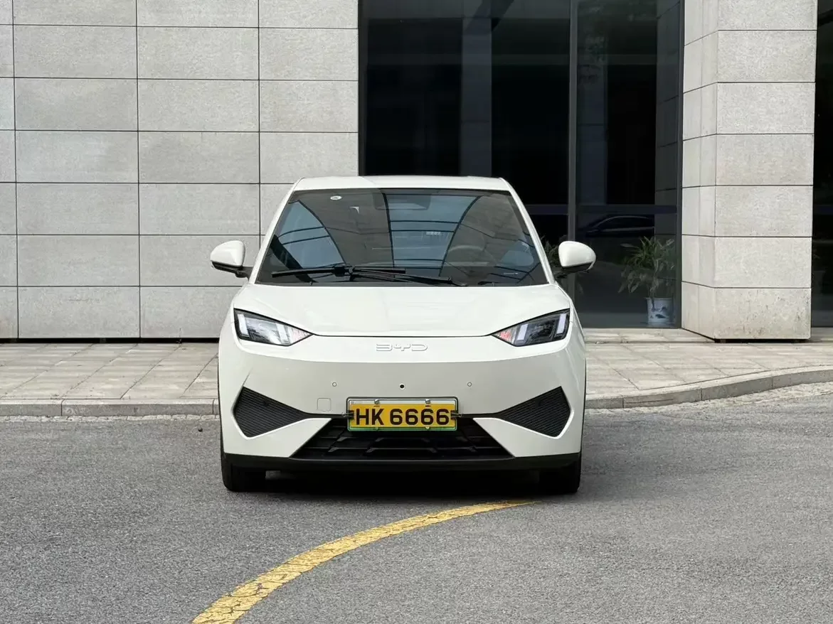 BYD seagull
