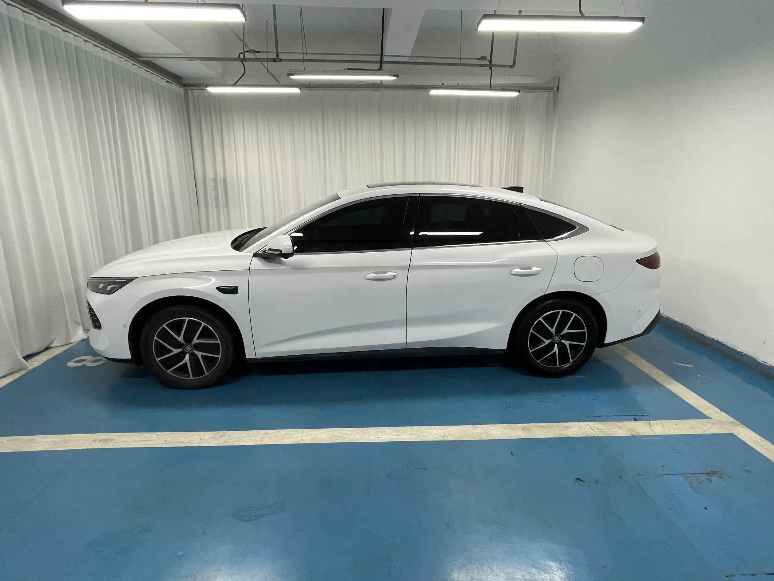 BYD Qin L DM