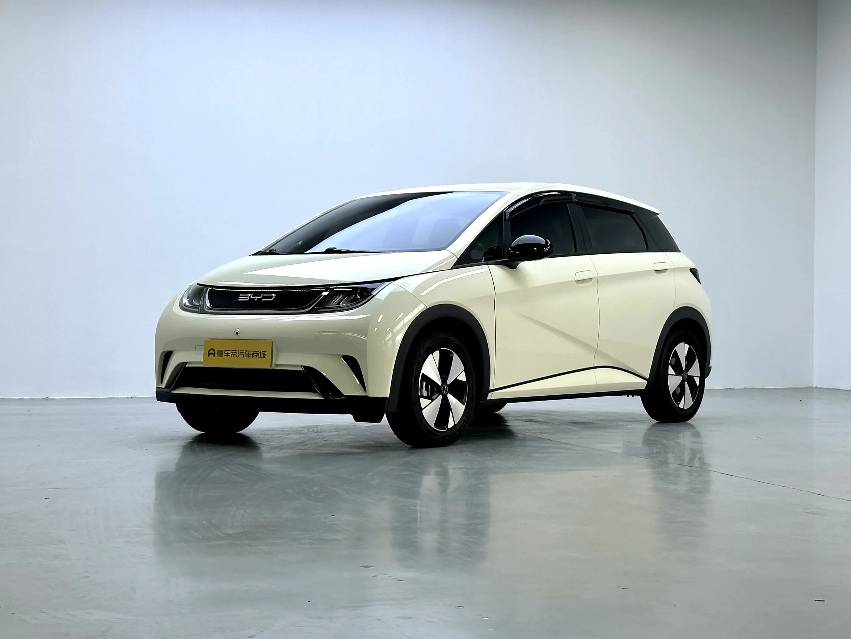 BYD dolphin