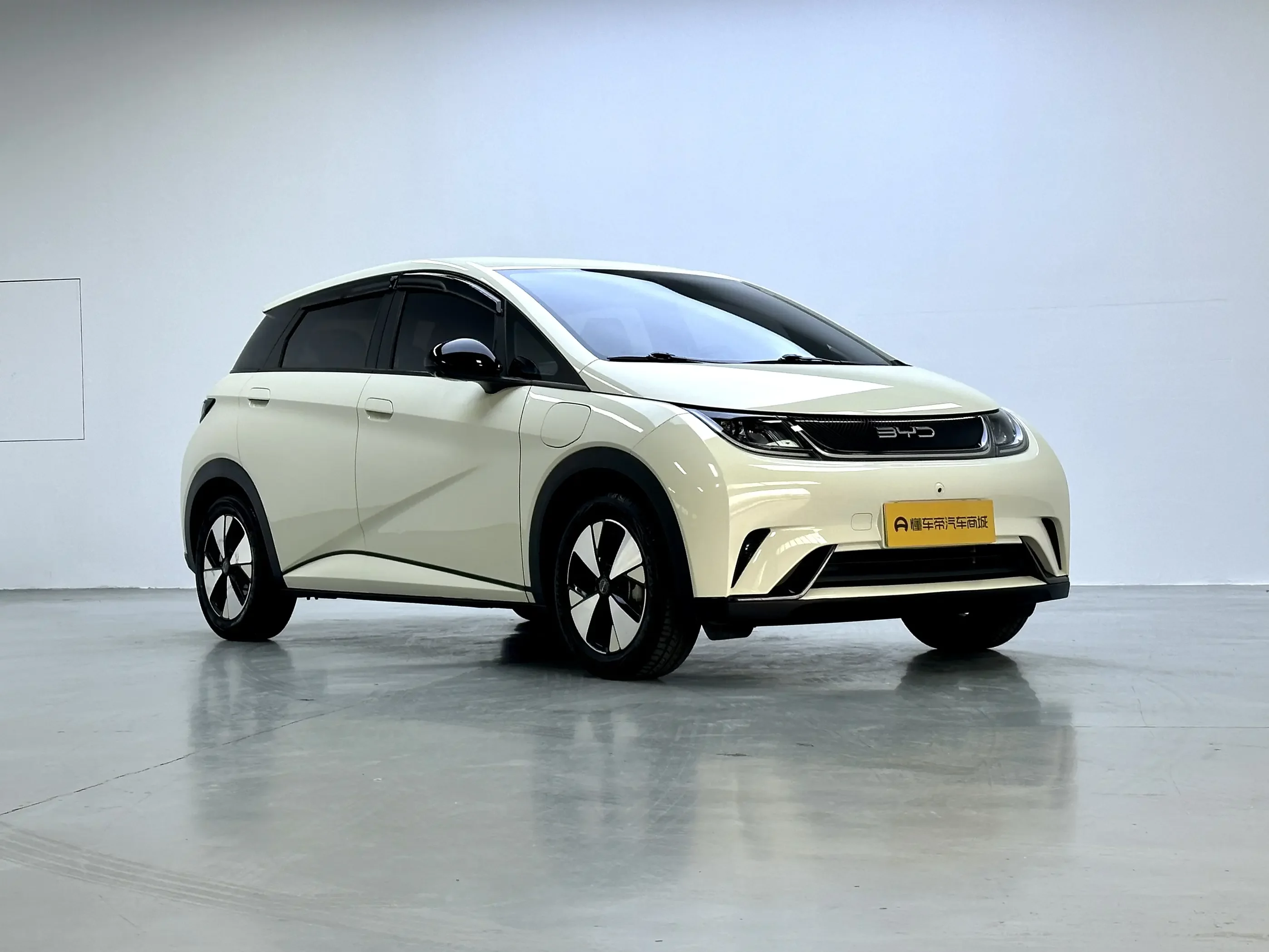 BYD dolphin