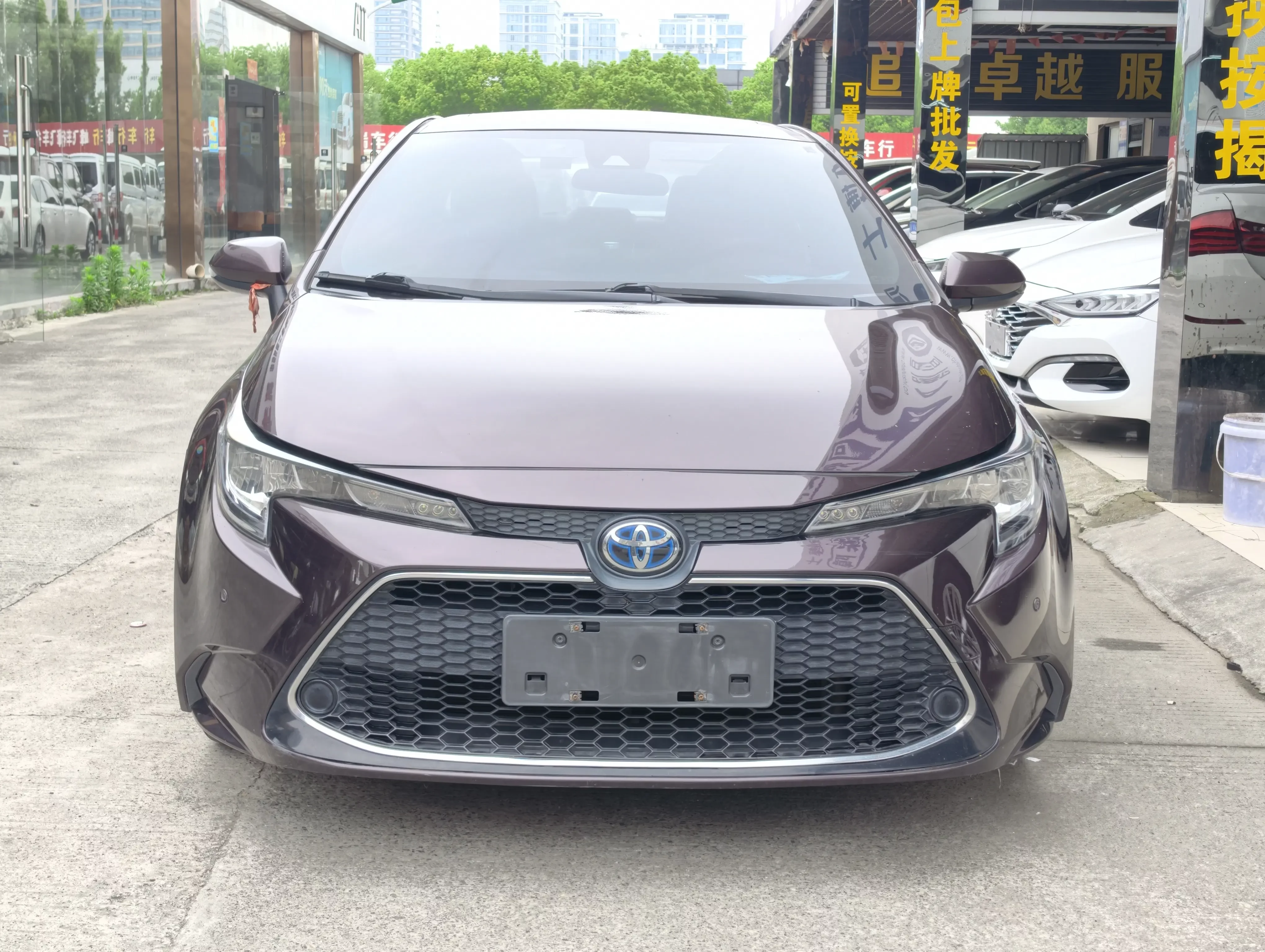 Toyota Levin