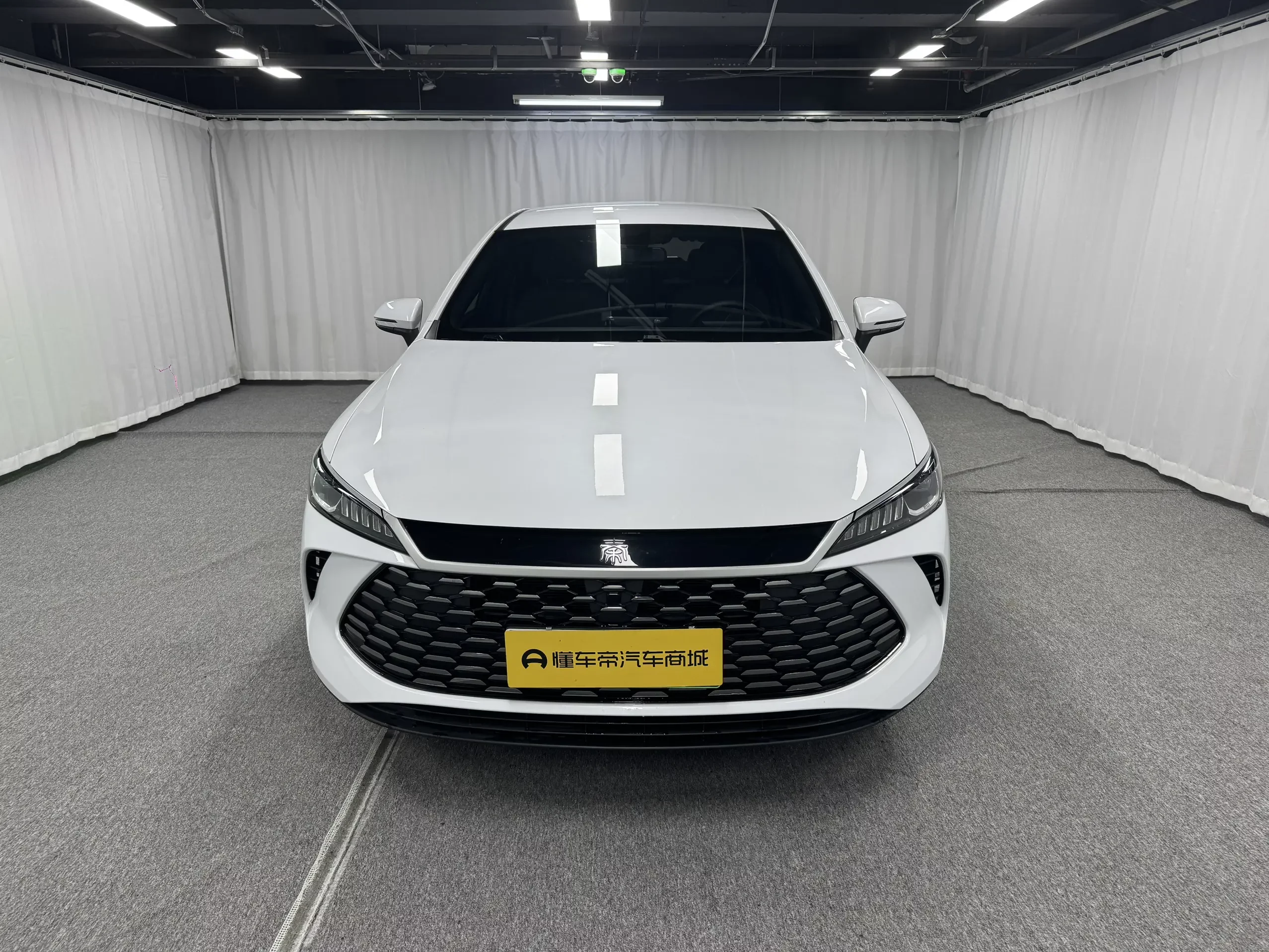 BYD Qin PLUS DM