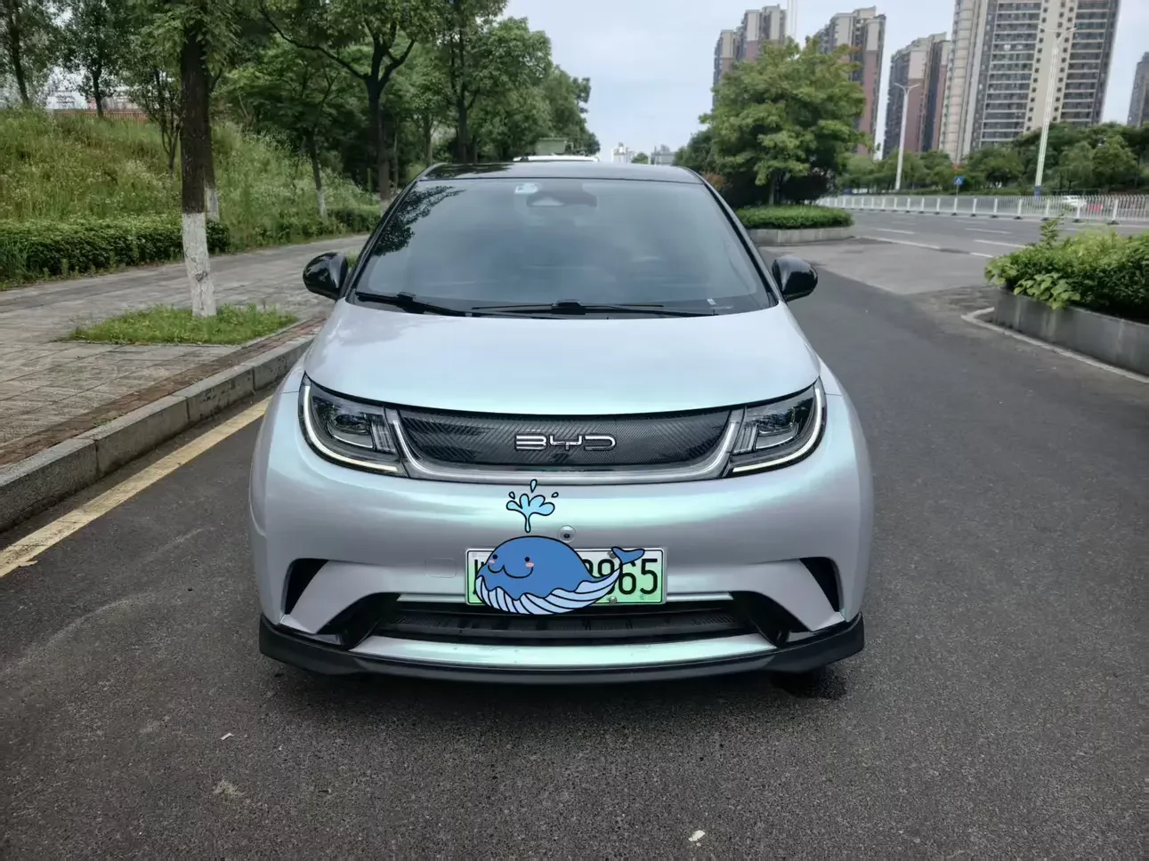 BYD dolphin