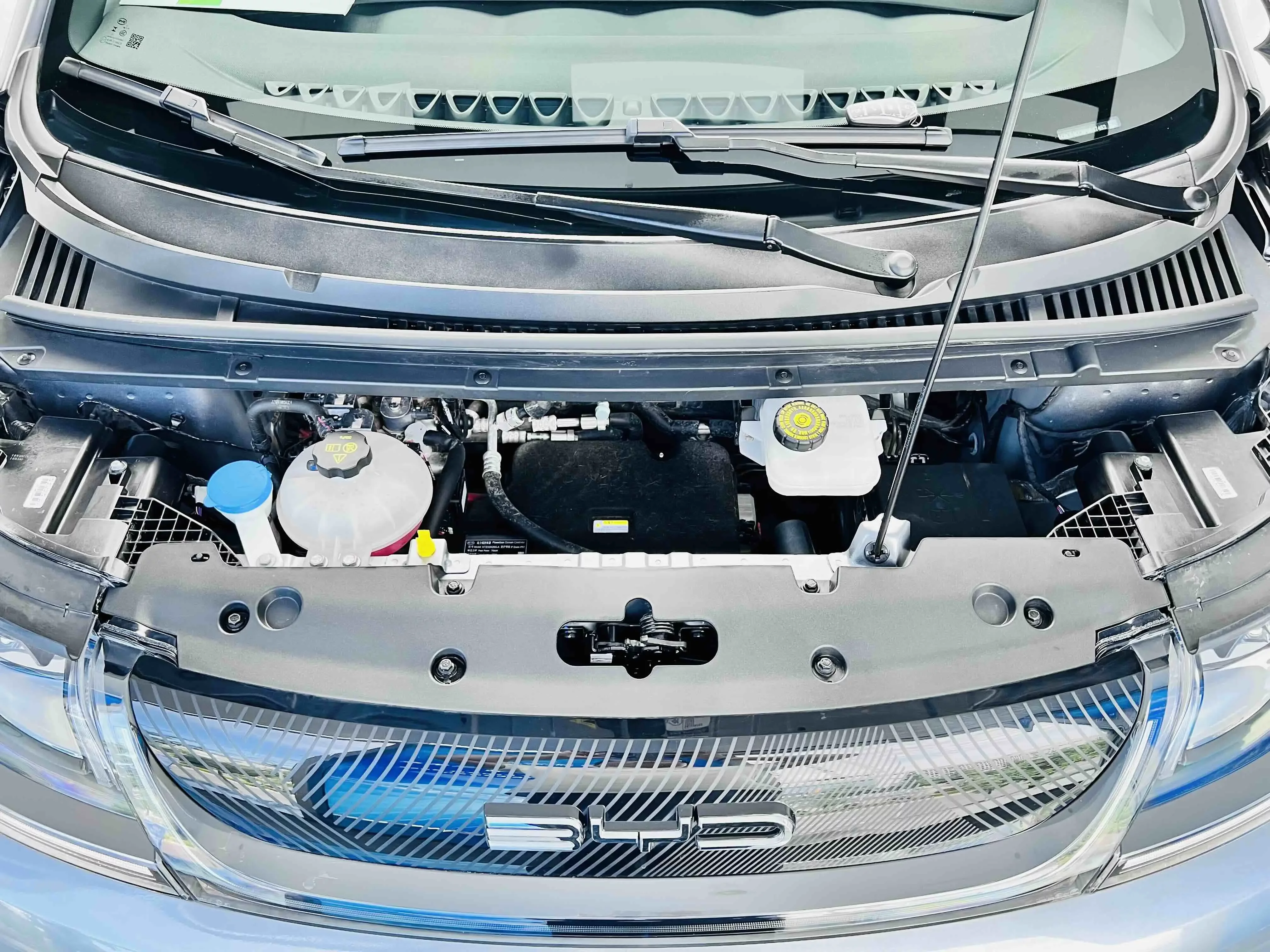 BYD dolphin