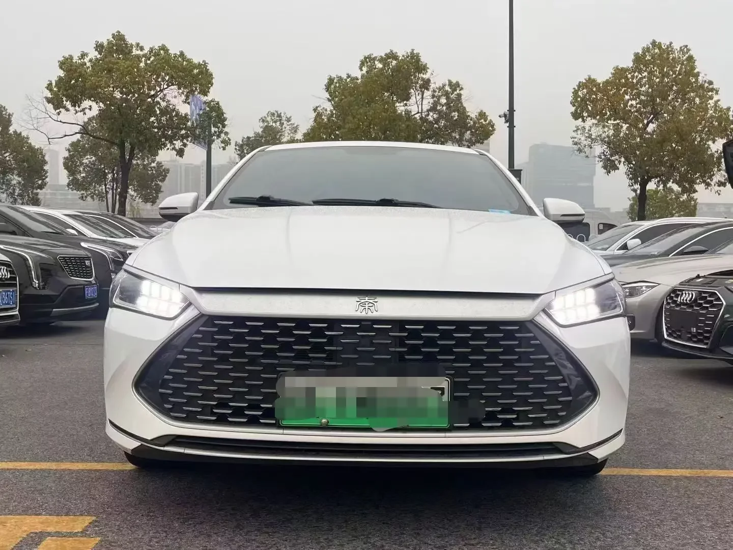 BYD Qin PLUS DM