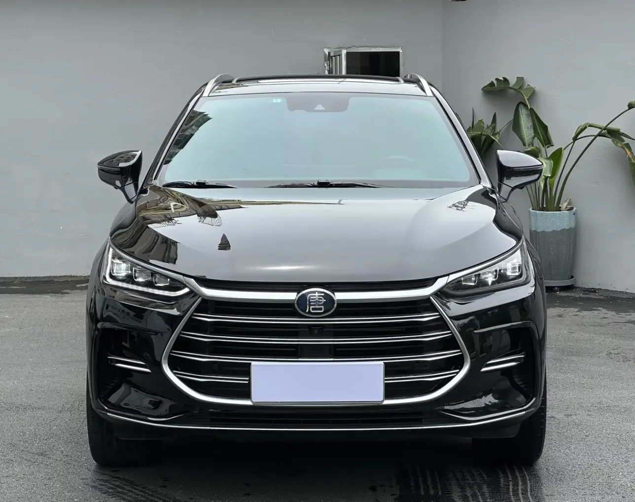 BYD Tang DM